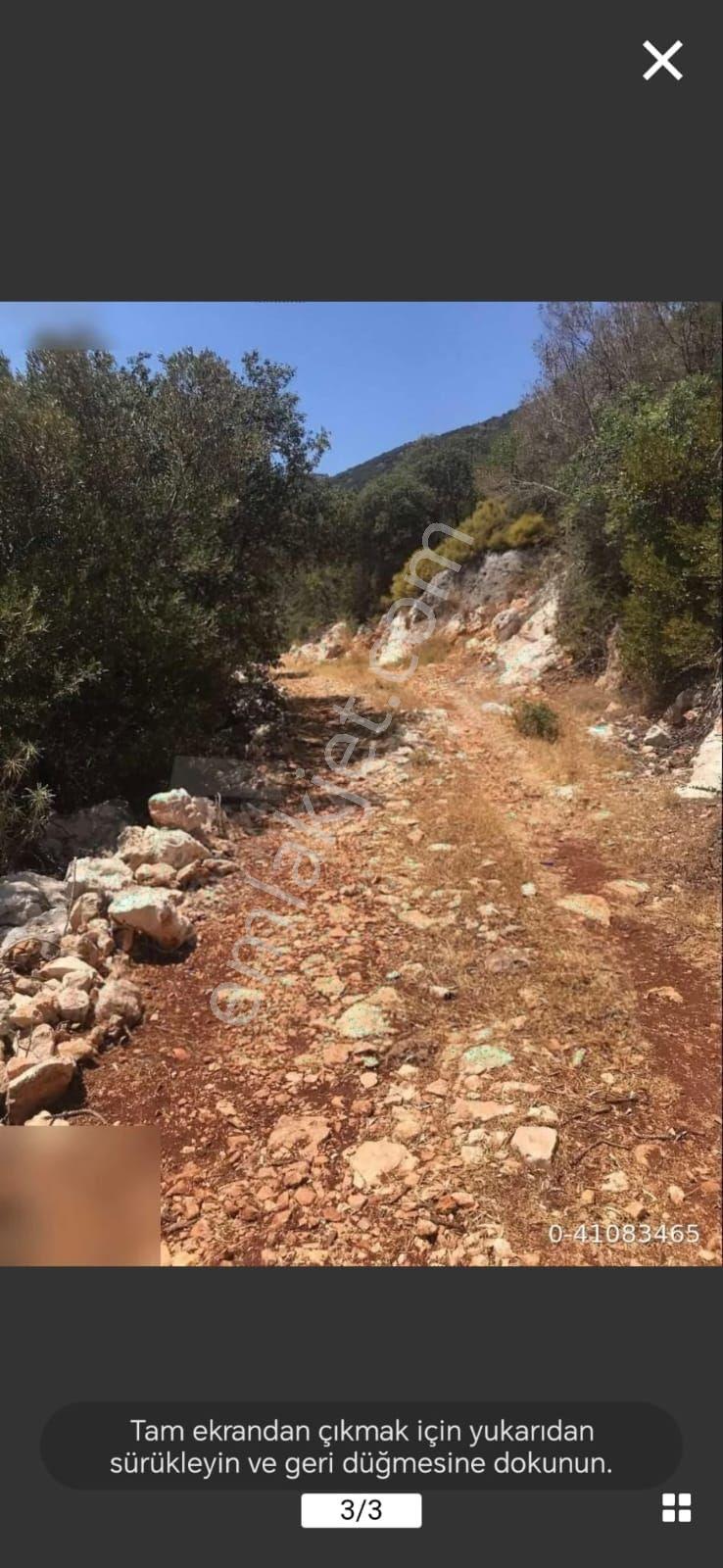 Kaş,belenli,sısla Mevki - Görsel 4
