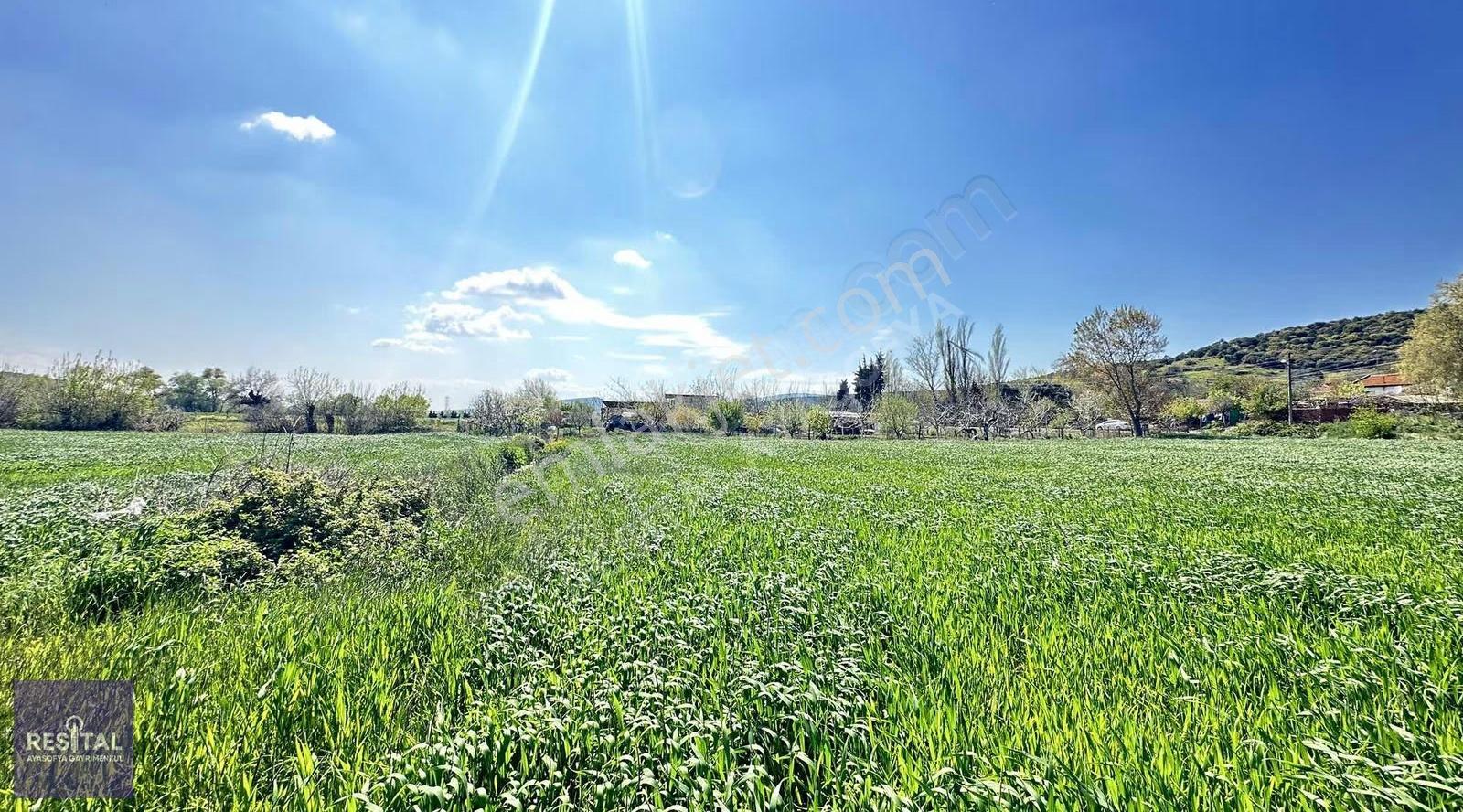 Karacabey Boğaz Yolu Üstü Villalık 2200m2 Köyiçi Satılık Arsa - Görsel 2