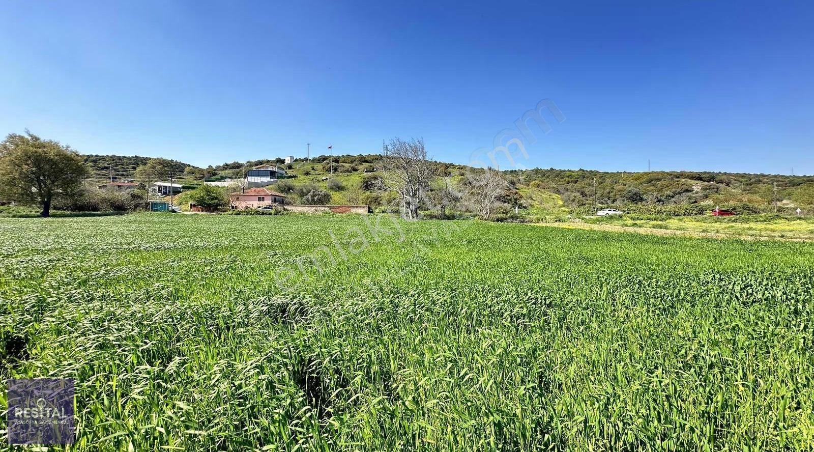 Karacabey Boğaz Yolu Üstü Villalık 2200m2 Köyiçi Satılık Arsa - Görsel 18