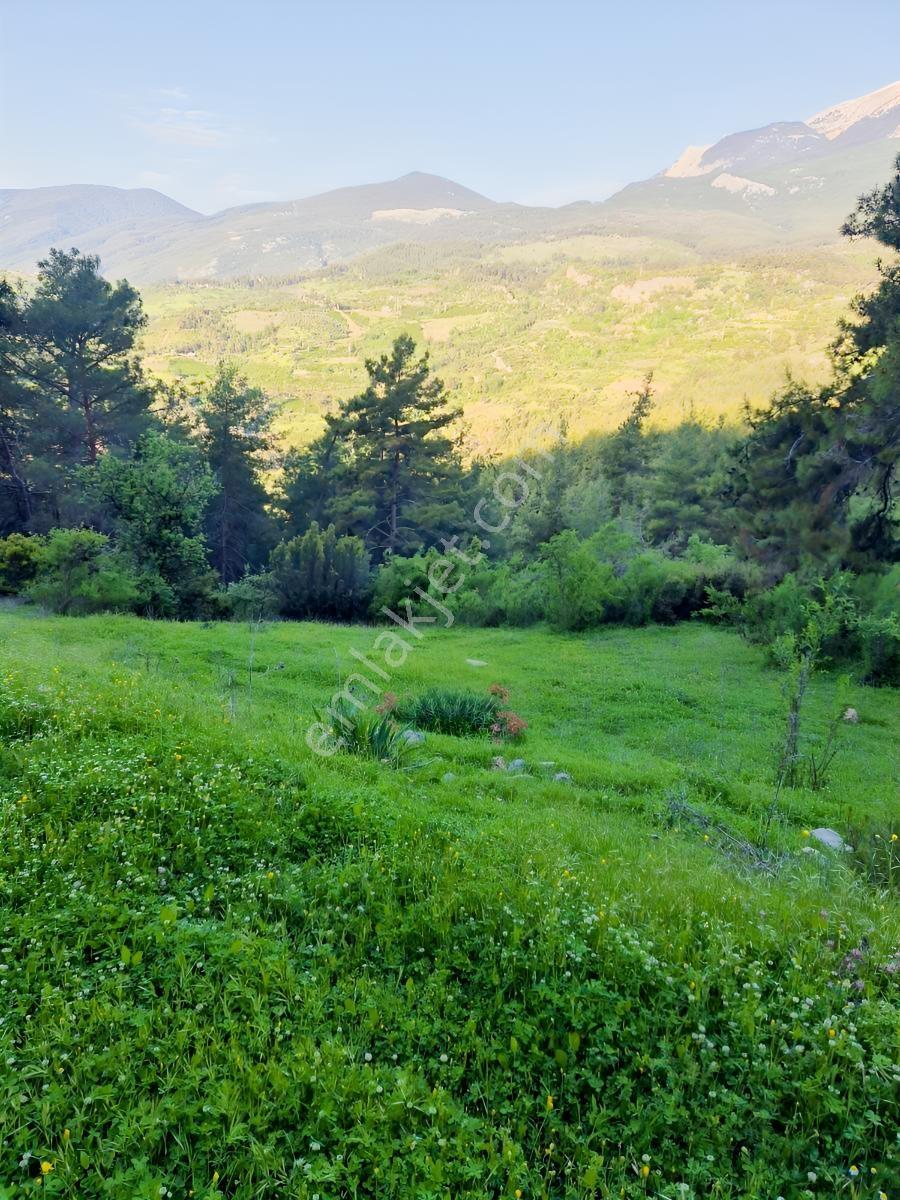 Müstakil Tapulu Satılık Arazi