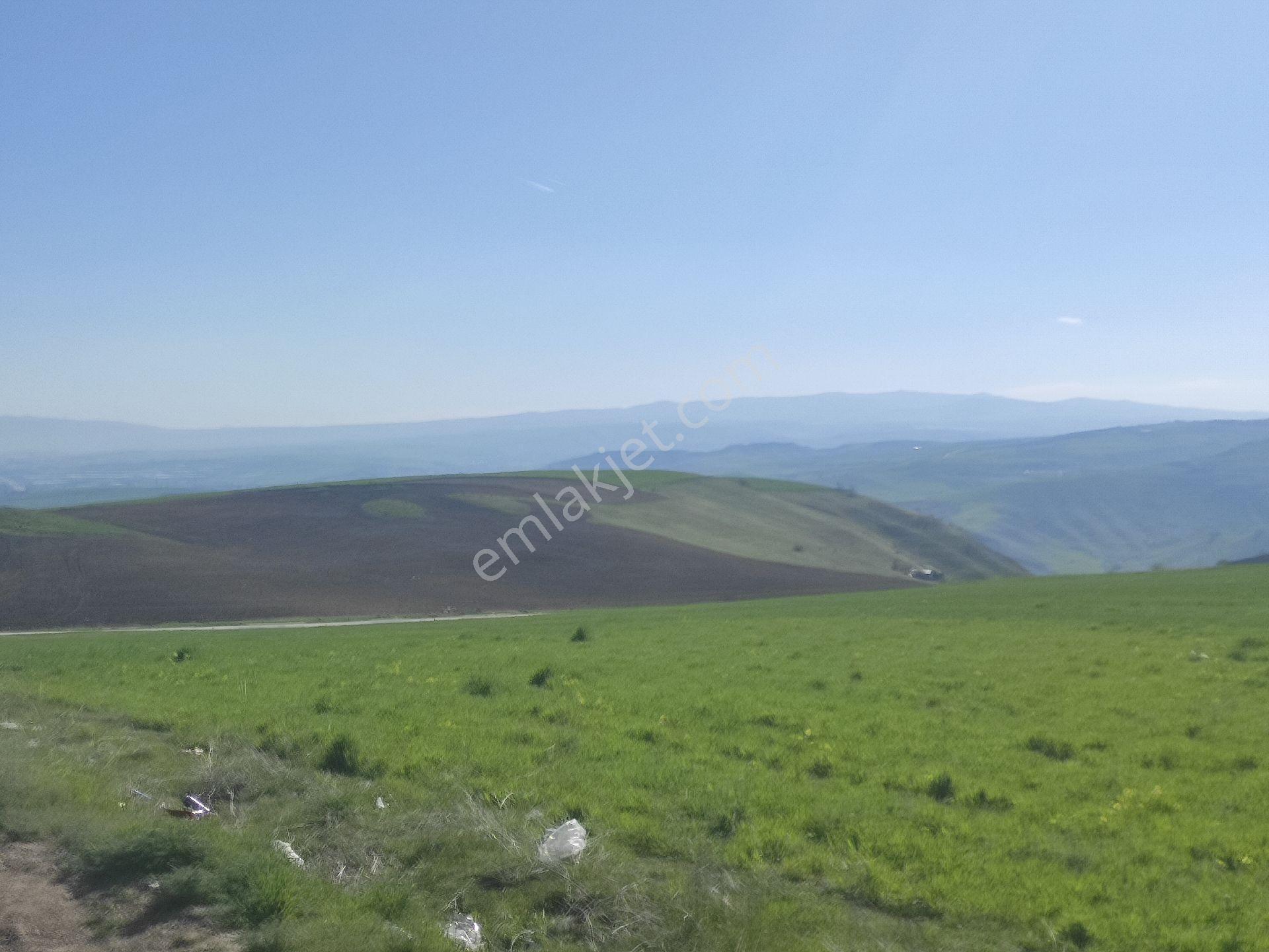 Karacaören Sanayiye Yakın Satılık Arsa Hilal Emlaktan - Görsel 10