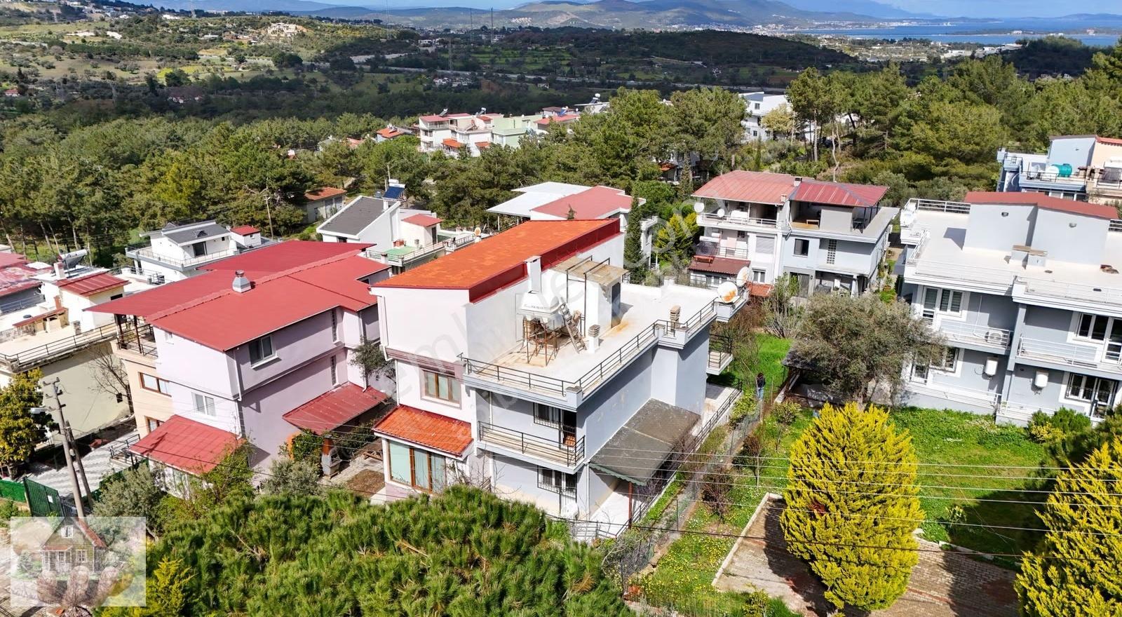 Doğa İcerisinde Bır O Kadaeda Sehre Yakın