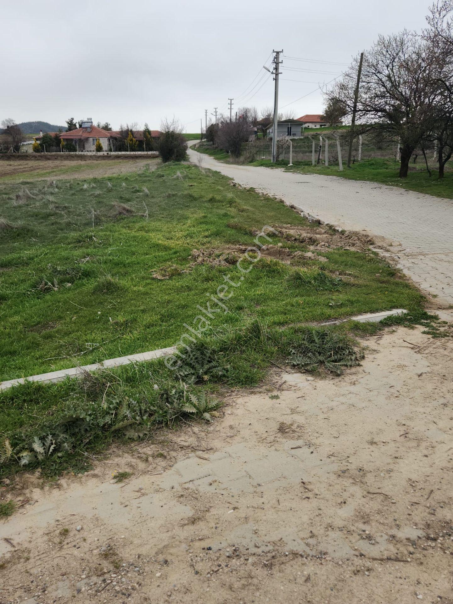 Ormanın İçinde 3 Dönüm Tektapu - Görsel 8