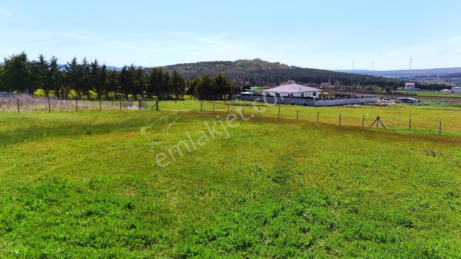 Çatalca Subaşı 2.684m² Harika Manzaralı Parsel - Görsel 10