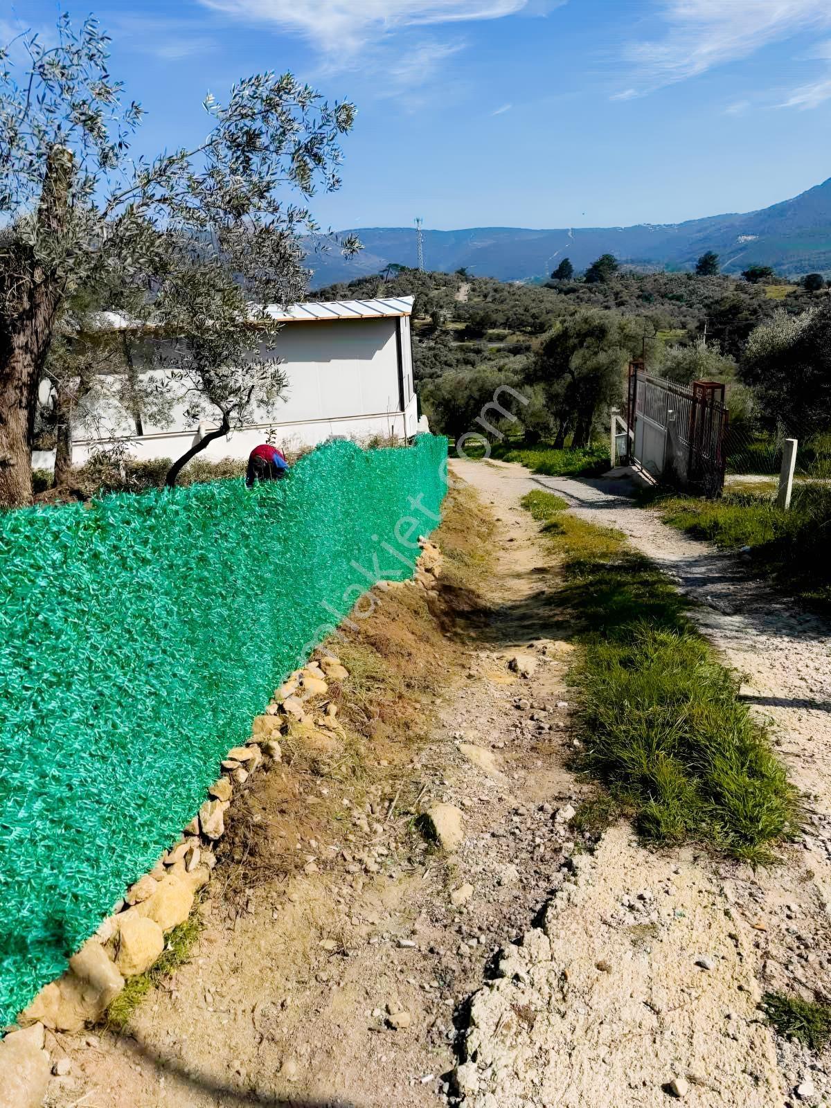 Vişnelide Taş Duvarlı 250m2 Konteynır Elk/su Olan Satılık Bahçe - Görsel 10
