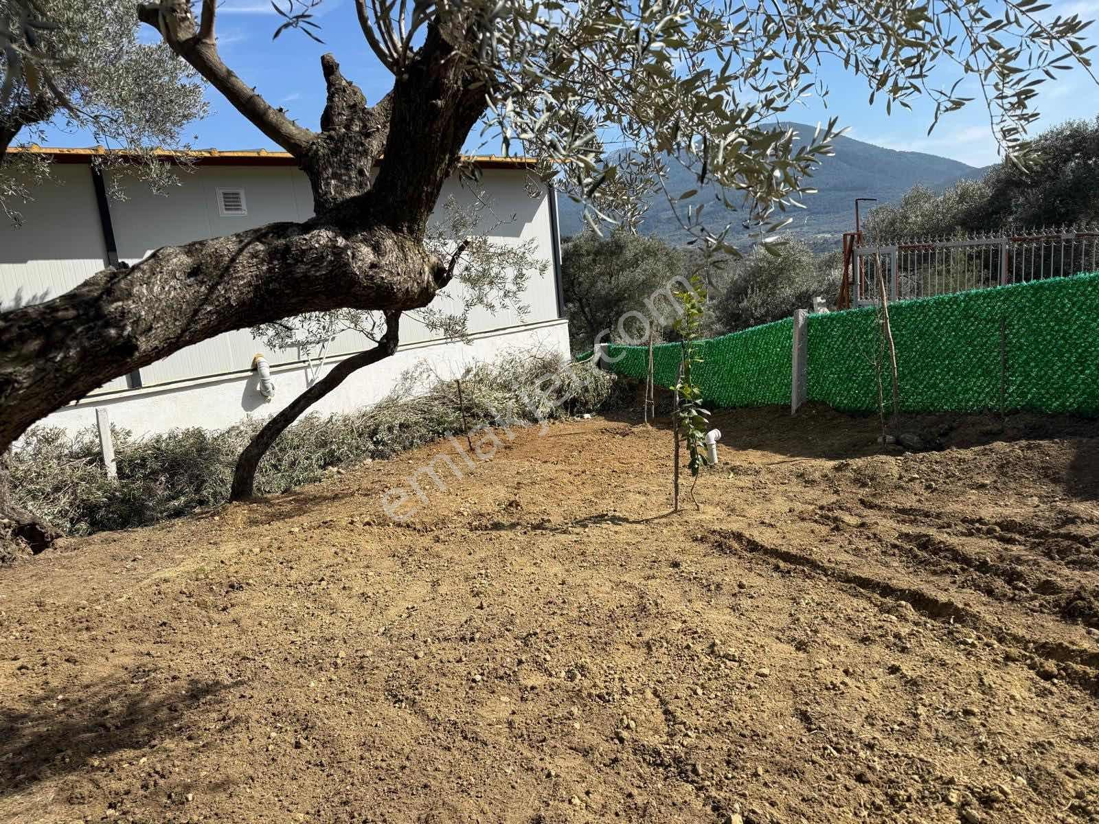 Vişnelide Taş Duvarlı 250m2 Konteynır Elk/su Olan Satılık Bahçe - Görsel 7