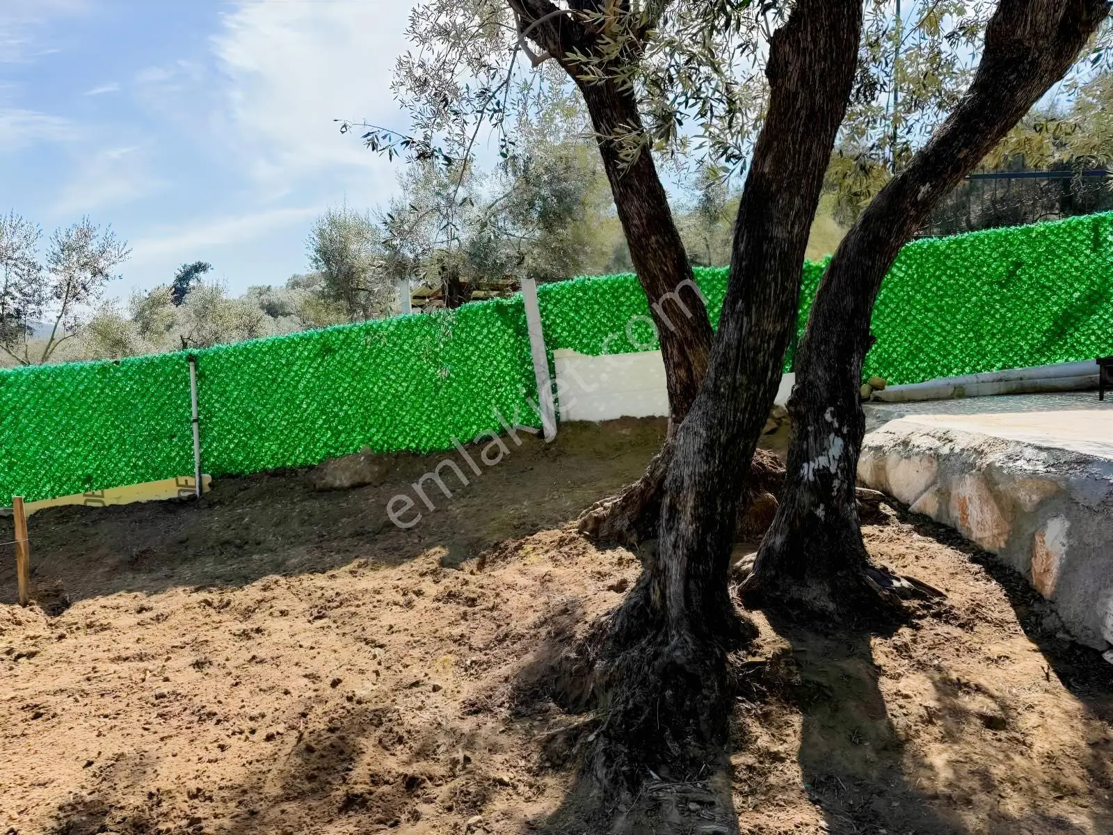 Vişnelide Taş Duvarlı 250m2 Konteynır Elk/su Olan Satılık Bahçe - Görsel 11