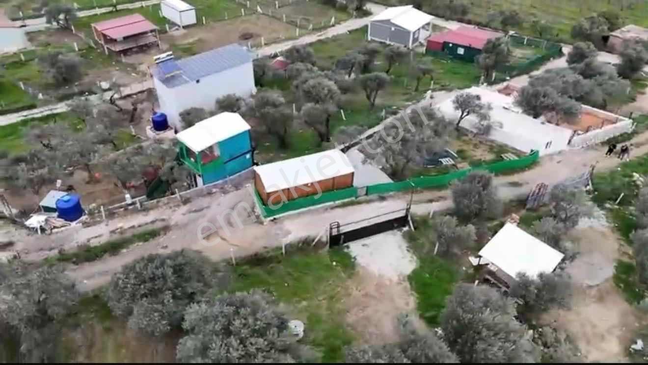 Vişnelide Taş Duvarlı 250m2 Konteynır Elk/su Olan Satılık Bahçe