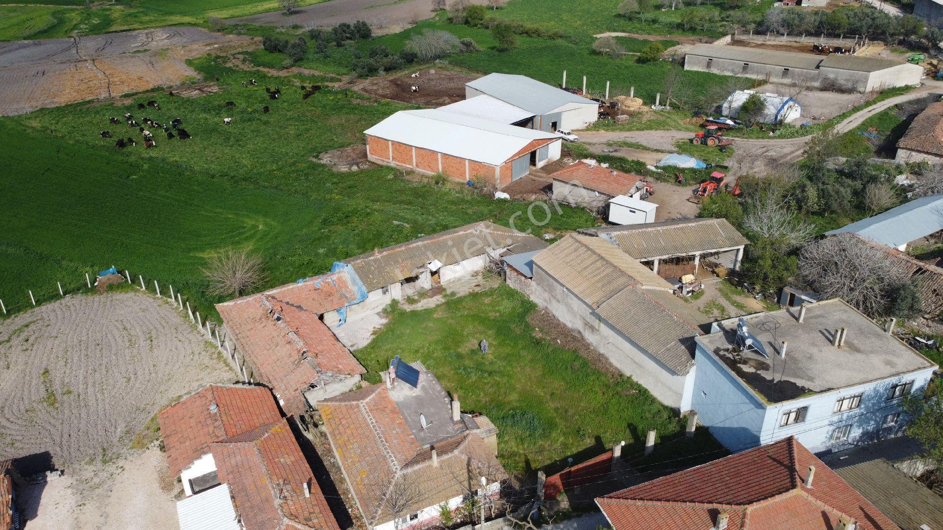 Gönen Üzümlü Mh. Satılık Müstakil Köy Evi Ve Damları - Görsel 5