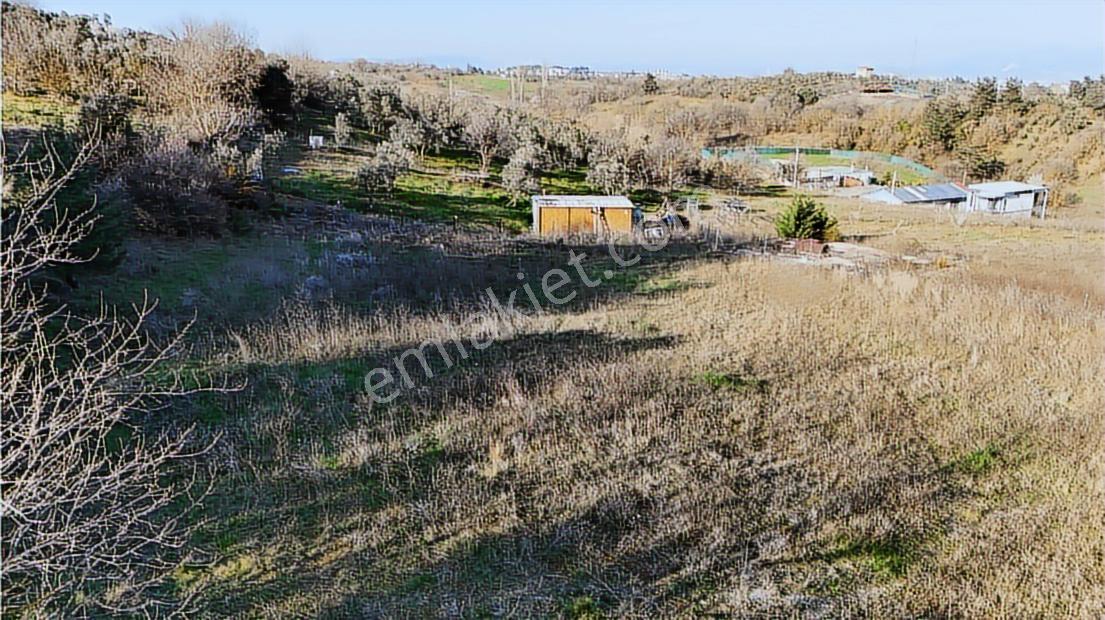Profasor *dan Gümüştepe Misi Köyde Yatırımlık 1165m2 Bahçe Bağ