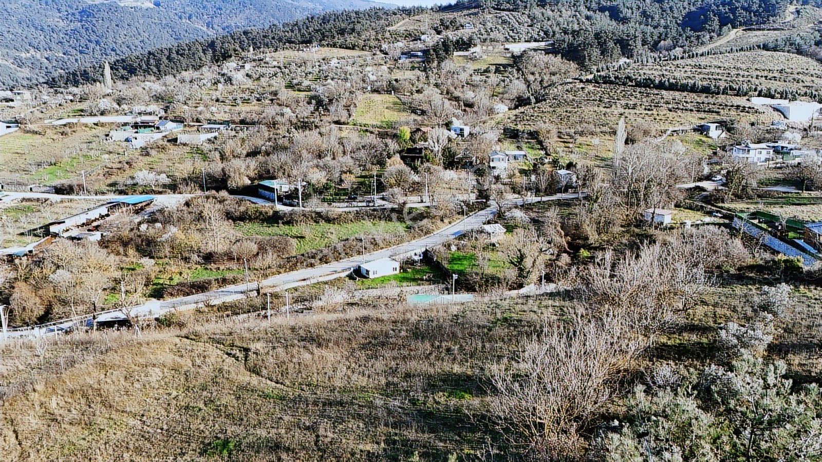 Profasor *dan Gümüştepe Misi Köyde Yatırımlık 1752m2 Bahçe Bağ - Görsel 10