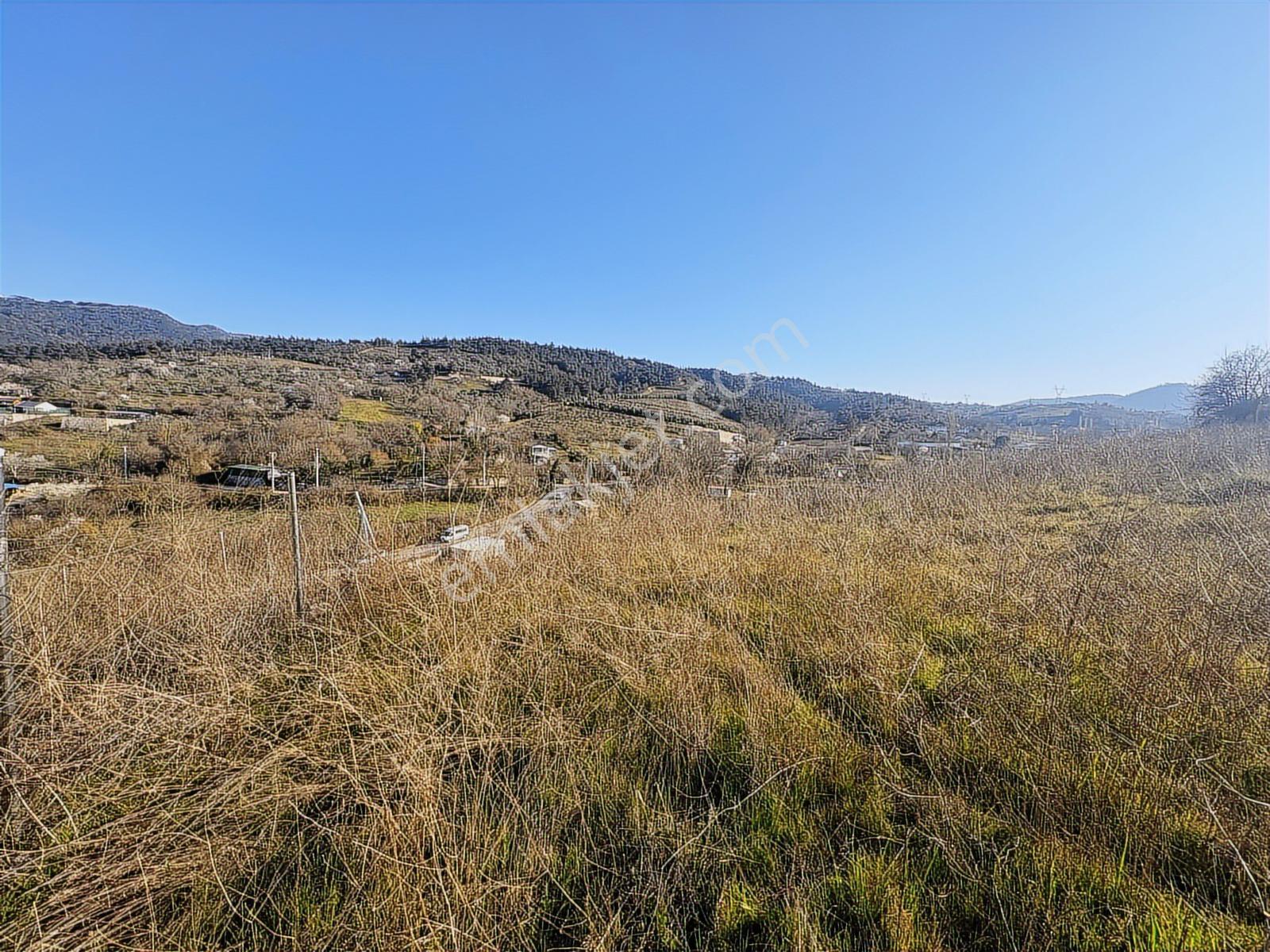 Profasor *dan Gümüştepe Misi Köyde Yatırımlık 1752m2 Bahçe Bağ - Görsel 14
