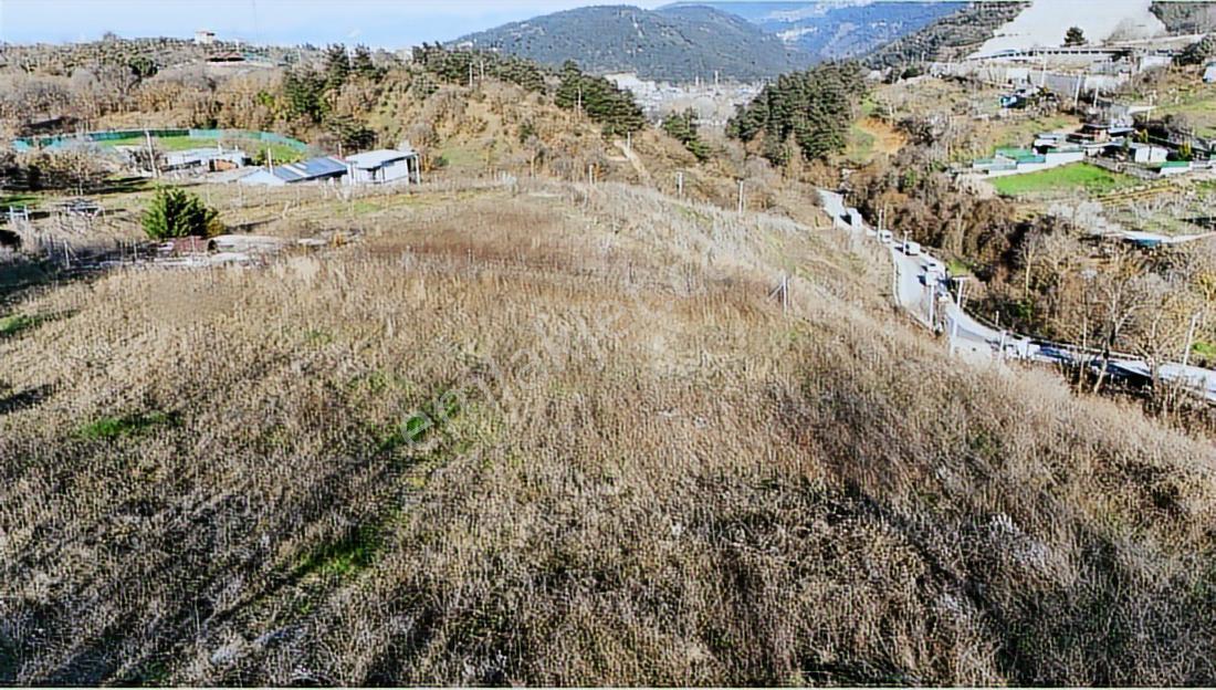 Profasor *dan Gümüştepe Misi Köyde Yatırımlık 1752m2 Bahçe Bağ - Görsel 19