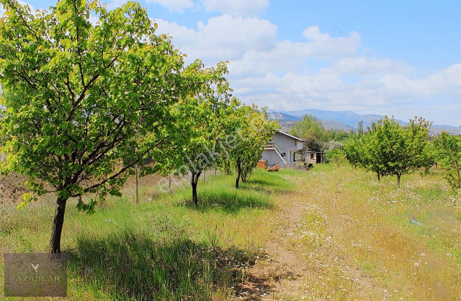 Merkeze 4 Km Sulama Sistemli 29.423 M²cevizbahçesi 2+1 Ev İçinde - Görsel 29