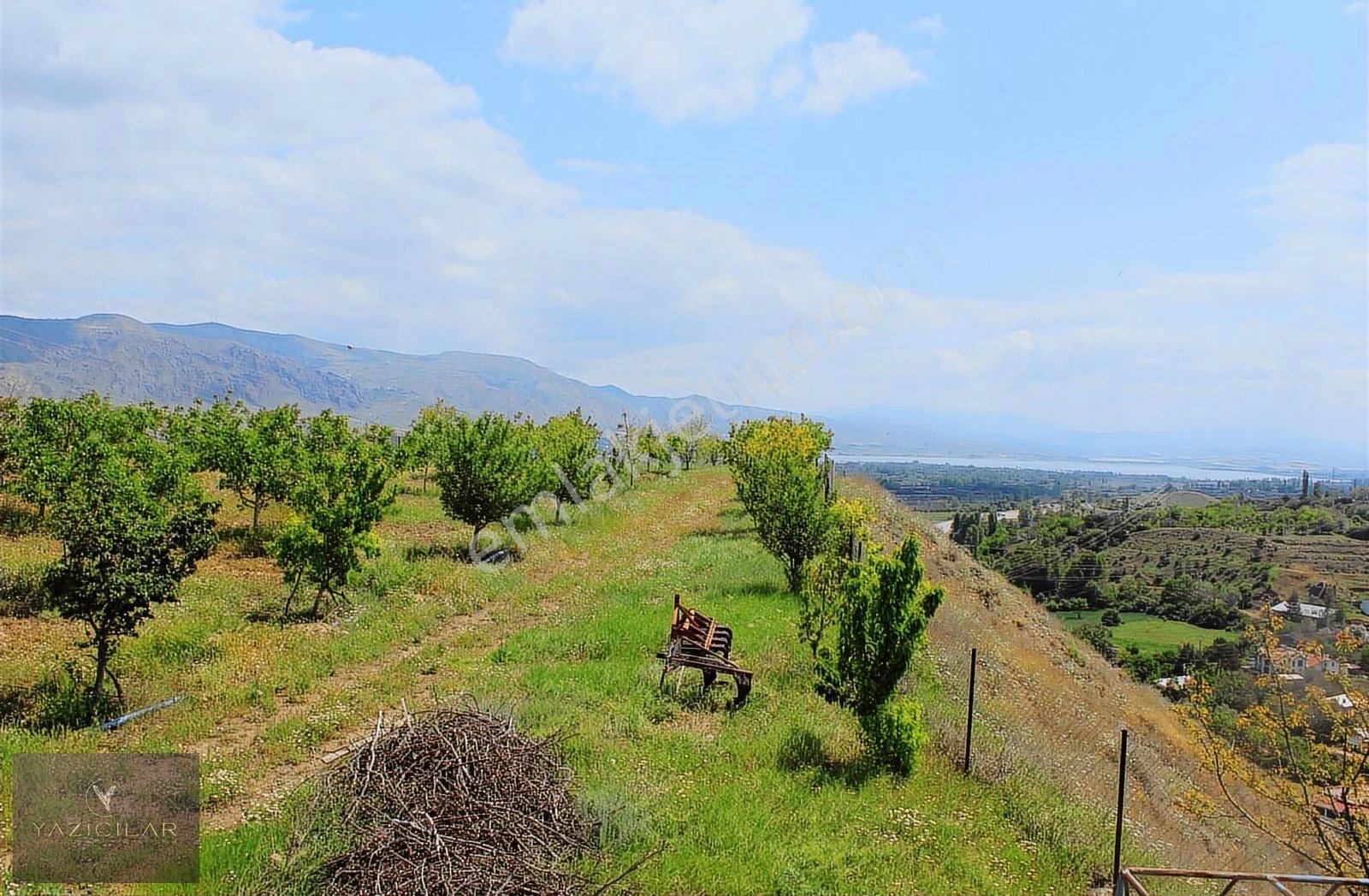 Merkeze 4 Km Sulama Sistemli 29.423 M²cevizbahçesi 2+1 Ev İçinde - Görsel 11