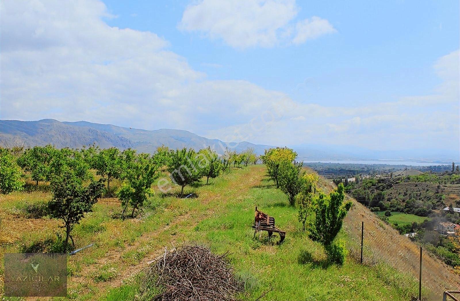 Merkeze 4 Km Sulama Sistemli 29.423 M²cevizbahçesi 2+1 Ev İçinde - Görsel 18