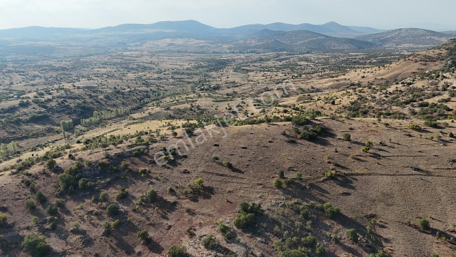 839 M² Bağ Tapulu / Konya / Güneysınır / Gürağaç Mah - Görsel 6