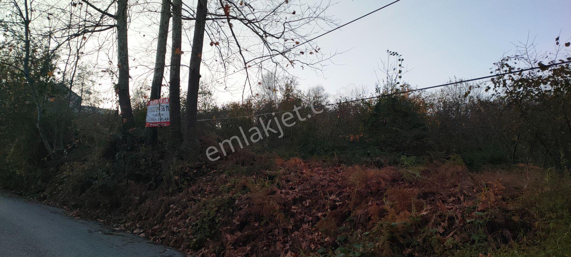 Sürmene Çavuşlu Sahil Yolu Na Çok Yakın Satılık Mükemmel Arazi - Görsel 34