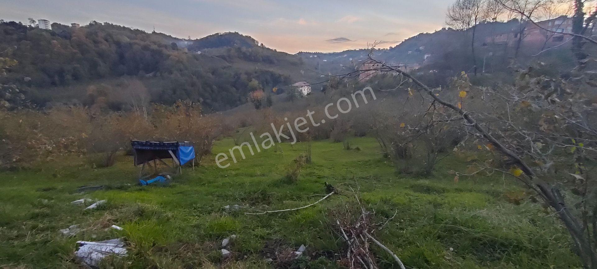 Sürmene Çavuşlu Sahil Yolu Na Çok Yakın Satılık Mükemmel Arazi