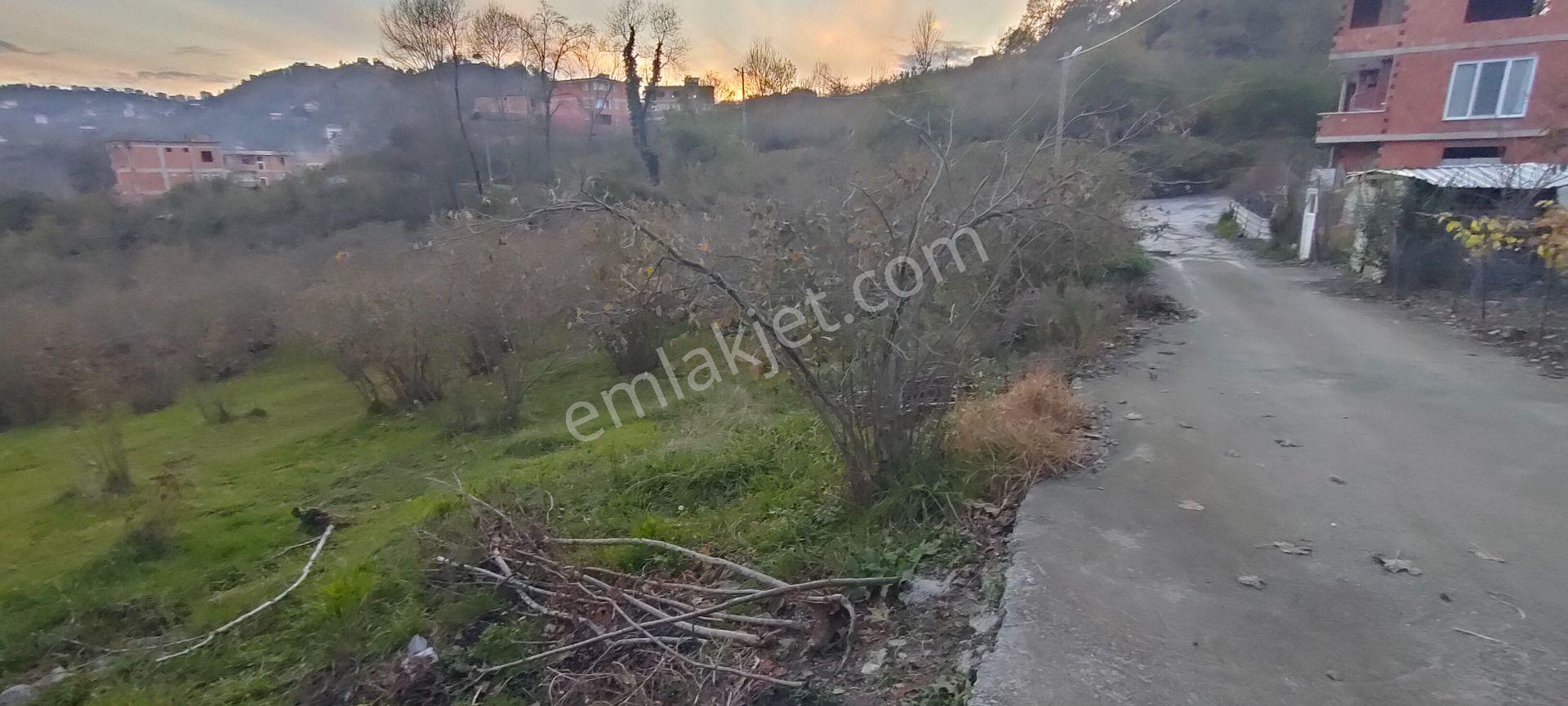 Sürmene Çavuşlu Sahil Yolu Na Çok Yakın Satılık Mükemmel Arazi - Görsel 18