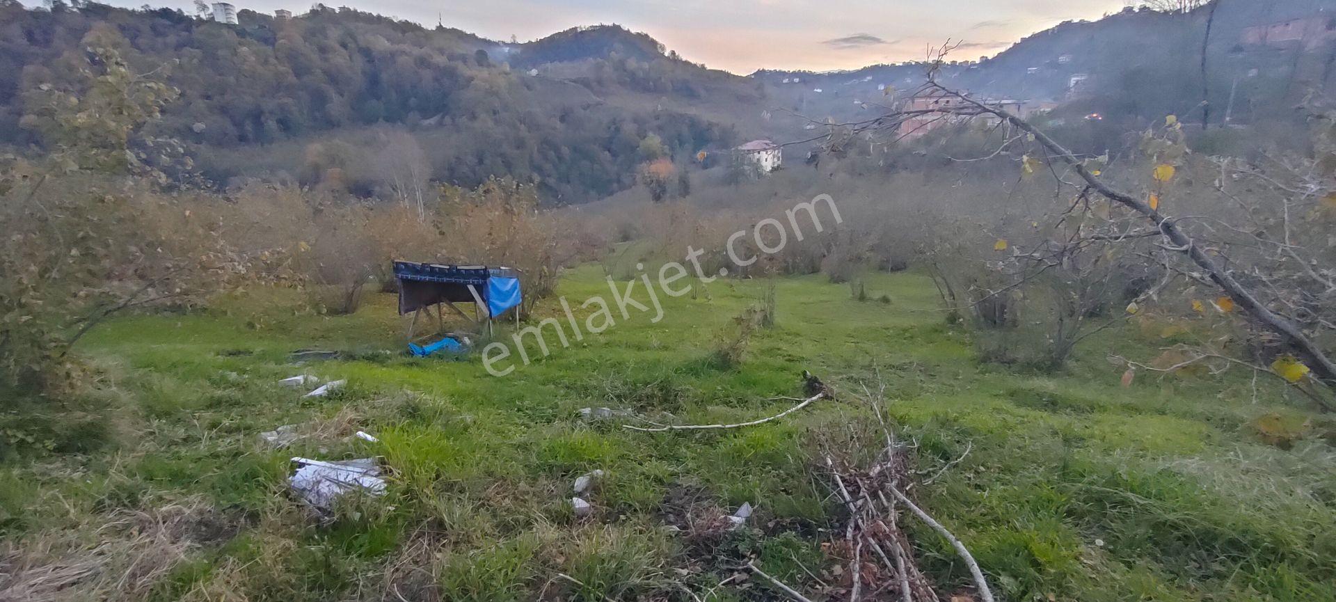 Sürmene Çavuşlu Sahil Yolu Na Çok Yakın Satılık Mükemmel Arazi - Görsel 14