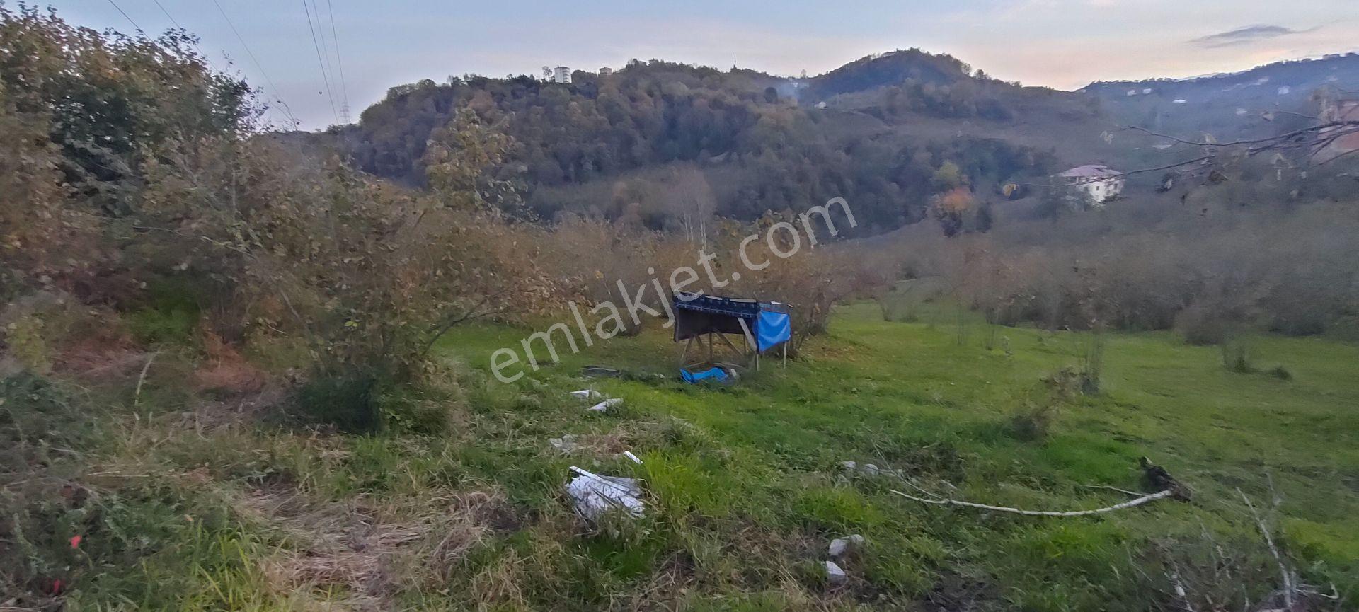 Sürmene Çavuşlu Sahil Yolu Na Çok Yakın Satılık Mükemmel Arazi - Görsel 26