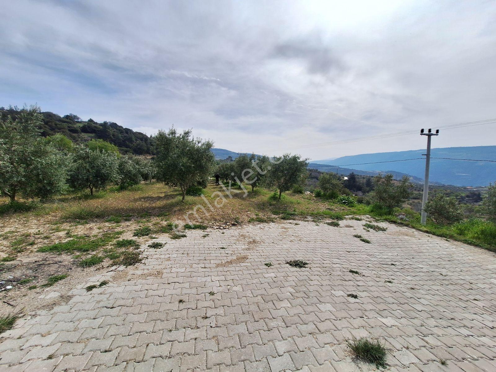 Denizli Güney Karaağaçlı Köyü Satılık 45.000 M2 Ev Ve Tarla - Görsel 15