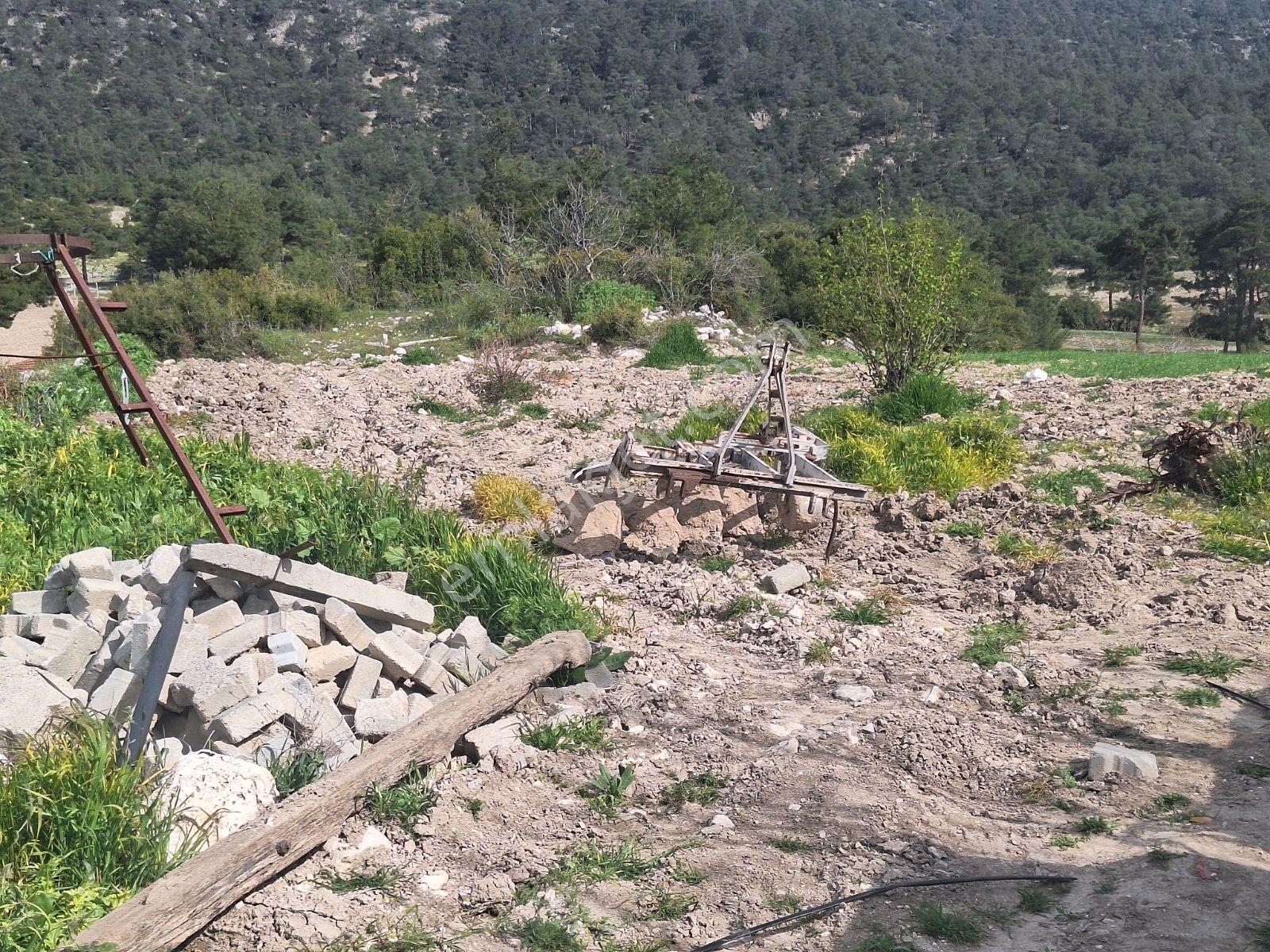 Denizli Güney Karaağaçlı Köyü Satılık 45.000 M2 Ev Ve Tarla - Görsel 18