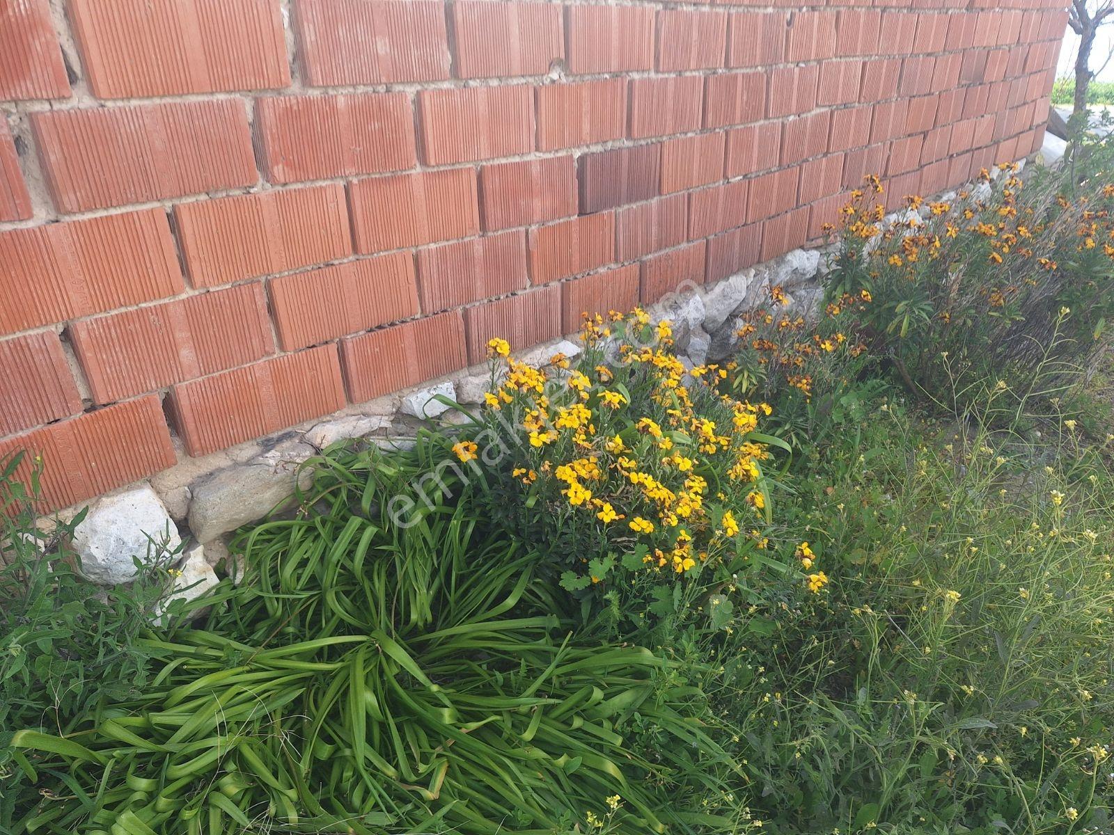 Denizli Güney Karaağaçlı Köyü Satılık 45.000 M2 Ev Ve Tarla - Görsel 4