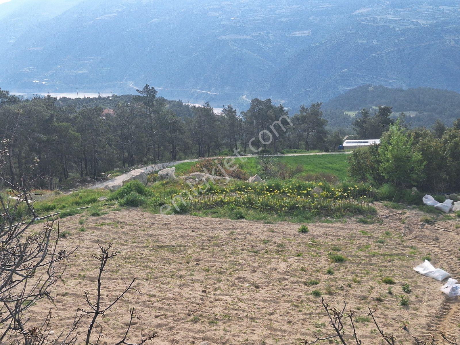 Denizli Güney Karaağaçlı Köyü Satılık 45.000 M2 Ev Ve Tarla - Görsel 10