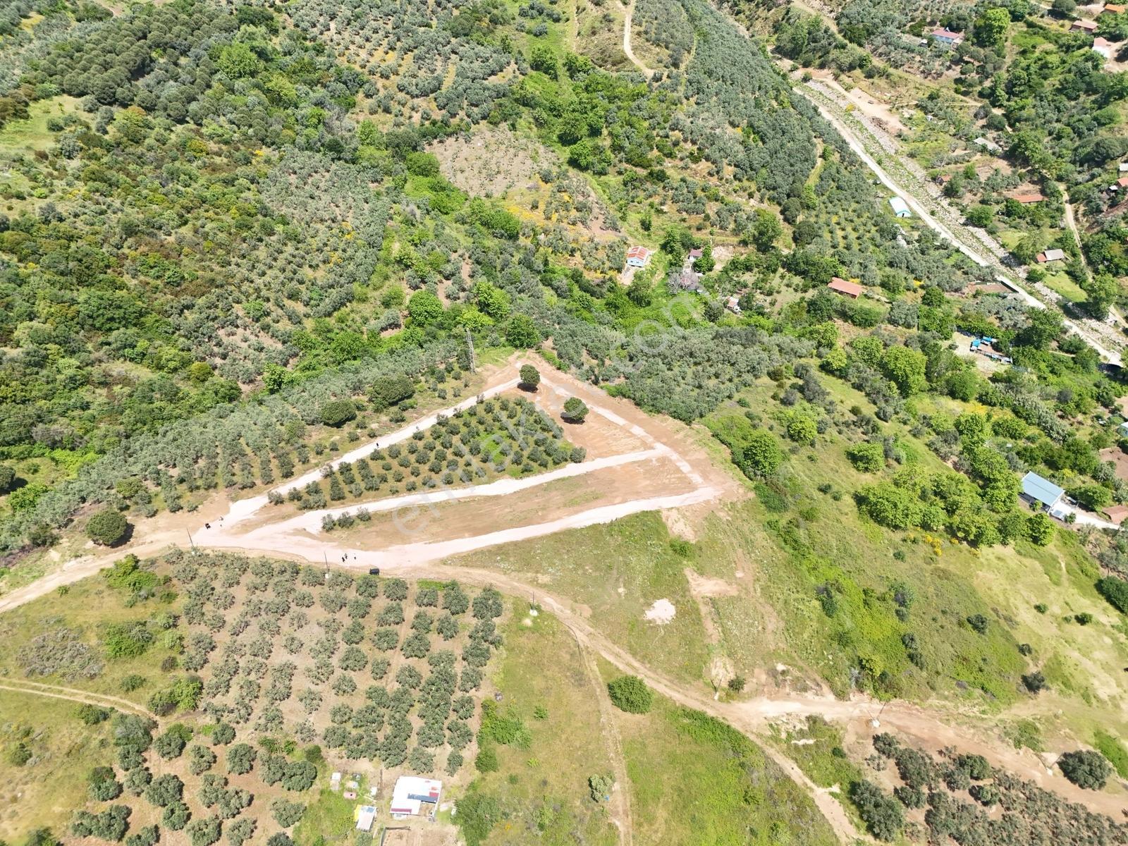 Erdek Tatlısu ' Da Doğa İle İçiçe Deniz Manzaralı Araziler - Görsel 7