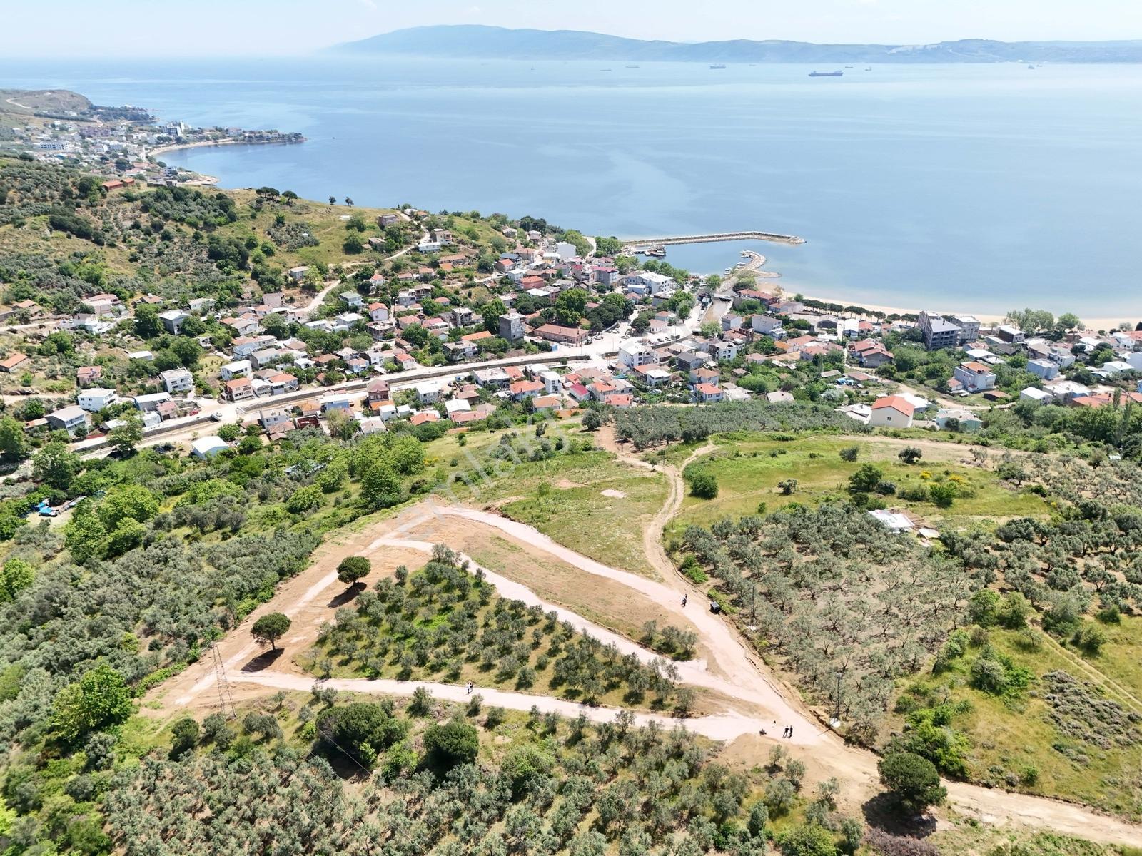 Erdek Tatlısu ' Da Doğa İle İçiçe Deniz Manzaralı Araziler - Görsel 3