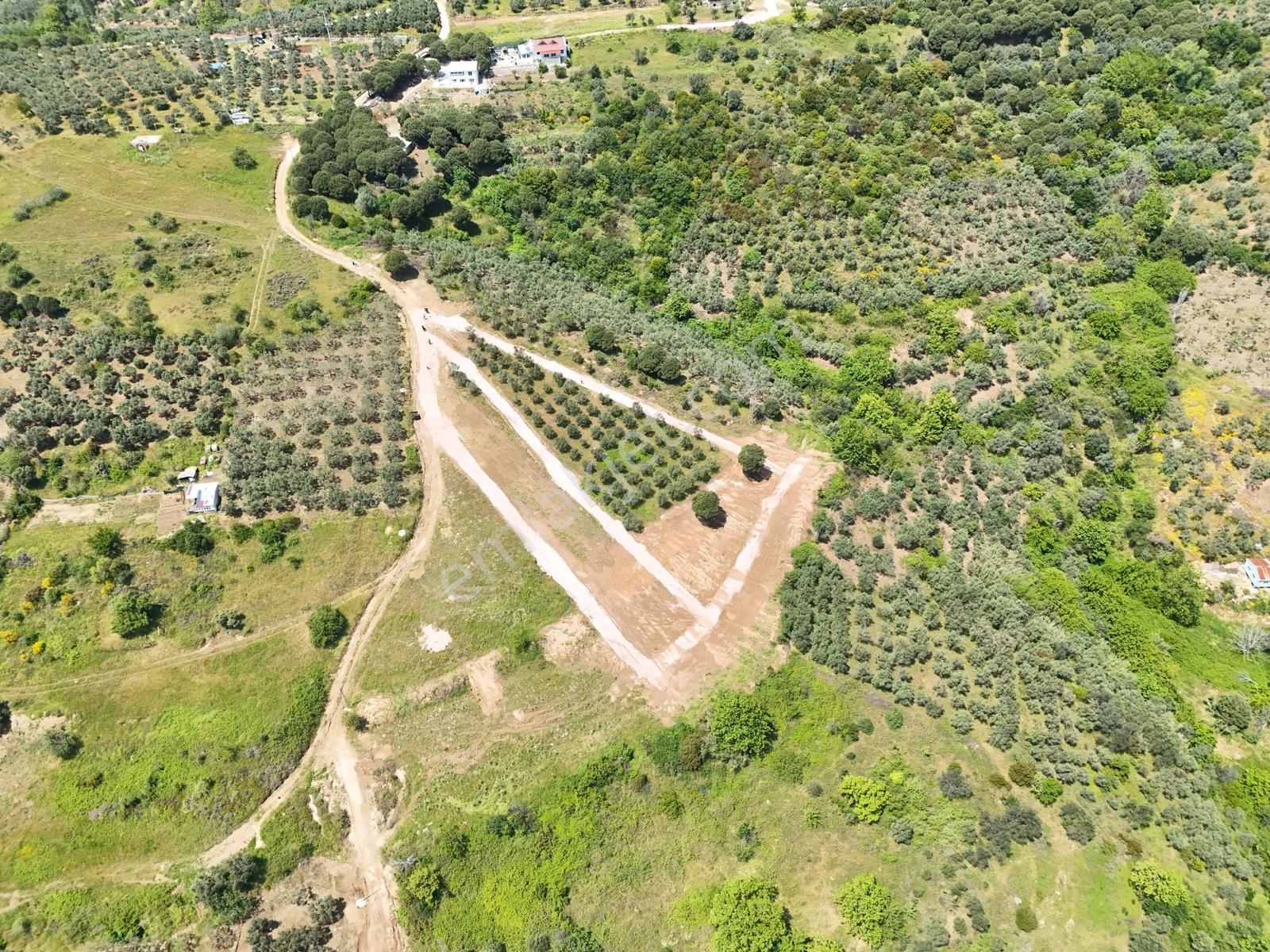 Erdek Tatlısu ' Da Doğa İle İçiçe Deniz Manzaralı Araziler - Görsel 6
