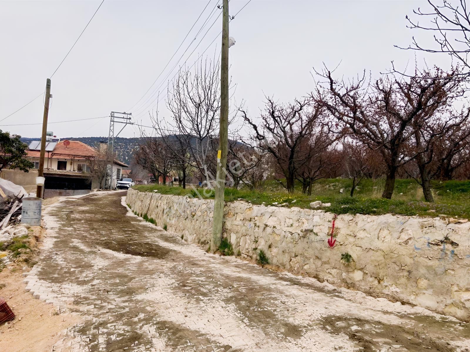 Korkuteli Sülekler Merkezde Satılık Hazır Meyve Ağaçlı Bahçe ! - Görsel 6