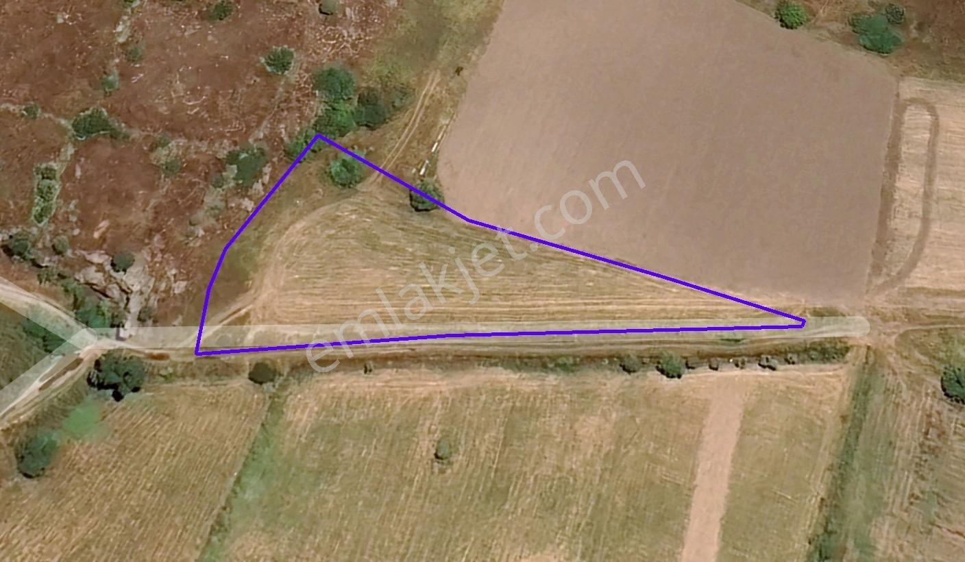 Kadastrol Yola Cepheli 3000 M² Tarla - Görsel 2