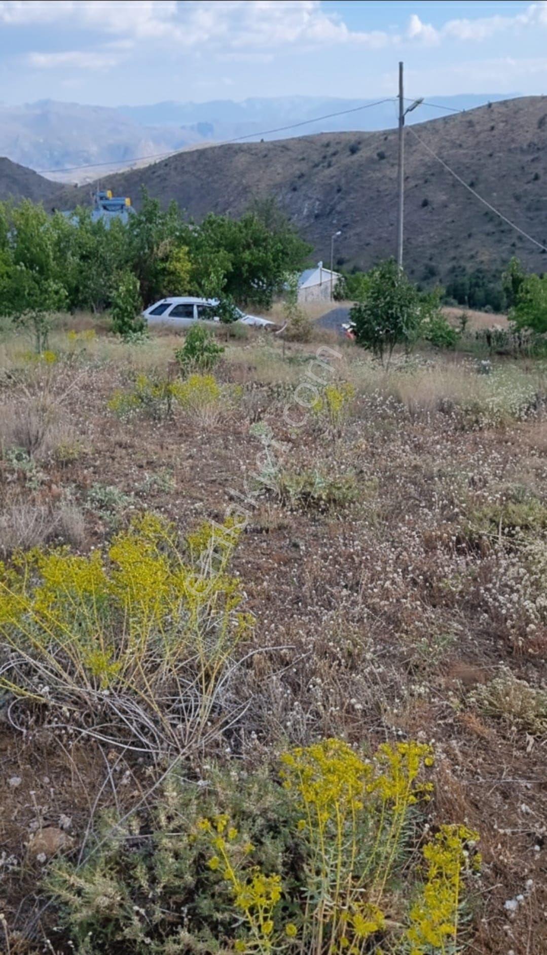 Erzincan Kemah Dikyamaçköyü İçinde Satılık Fırsat Arsa - Görsel 2