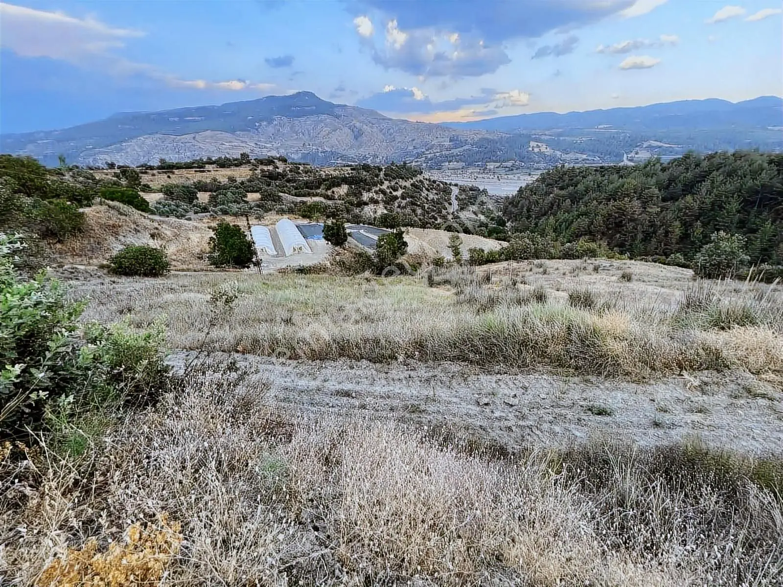 Muğla Esençay Mahallesinde Satılık 3.025 Yatırımlık Tarla - Görsel 2