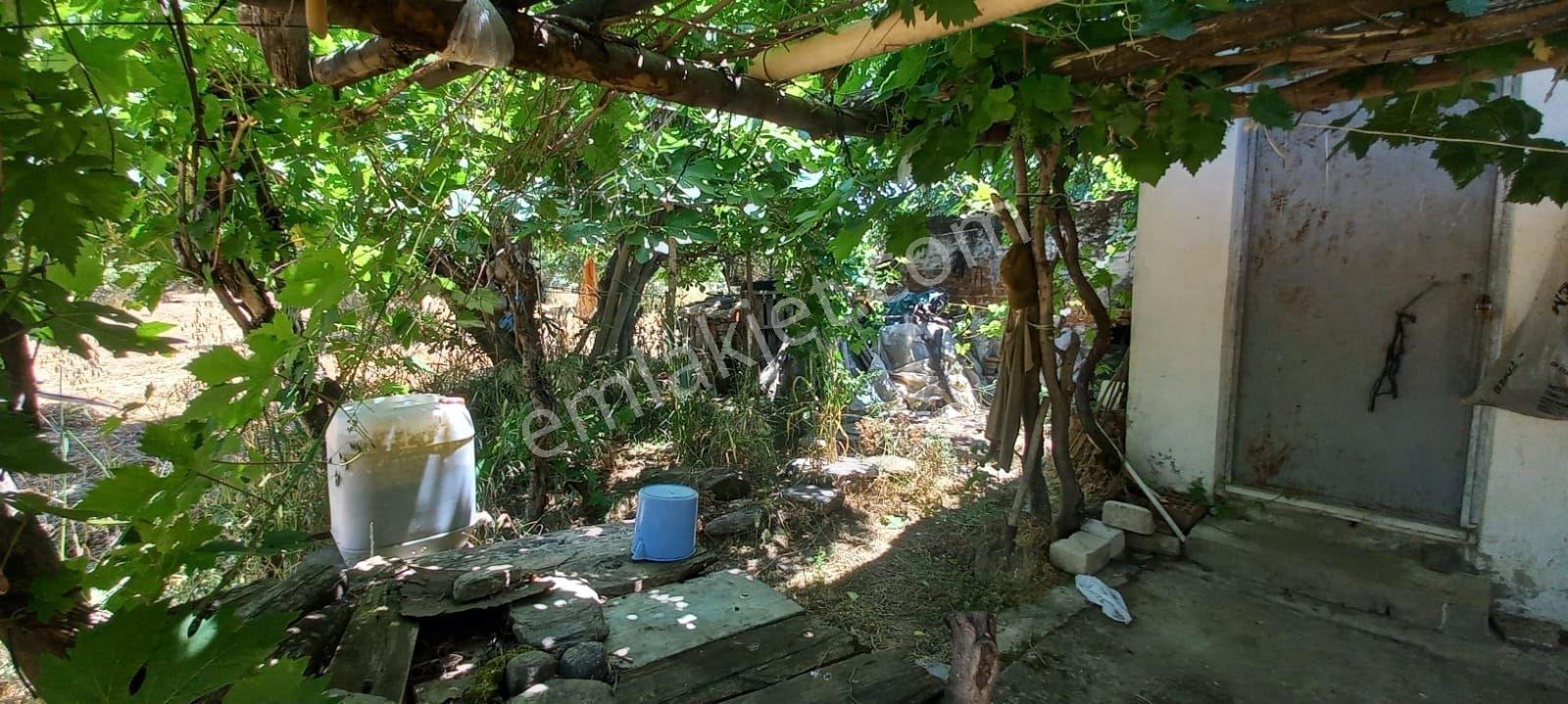 Güneş Gayrimenkul'den Tire Merkezde Zeytin Ve İncir Bahçesi - Görsel 7