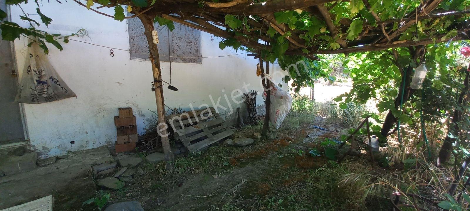 Güneş Gayrimenkul'den Tire Merkezde Zeytin Ve İncir Bahçesi - Görsel 2