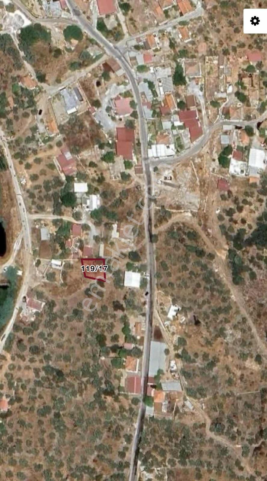Milas Savran Mah. Köy Yerleşim Yerinde Satılık Zeytinlik - Görsel 3