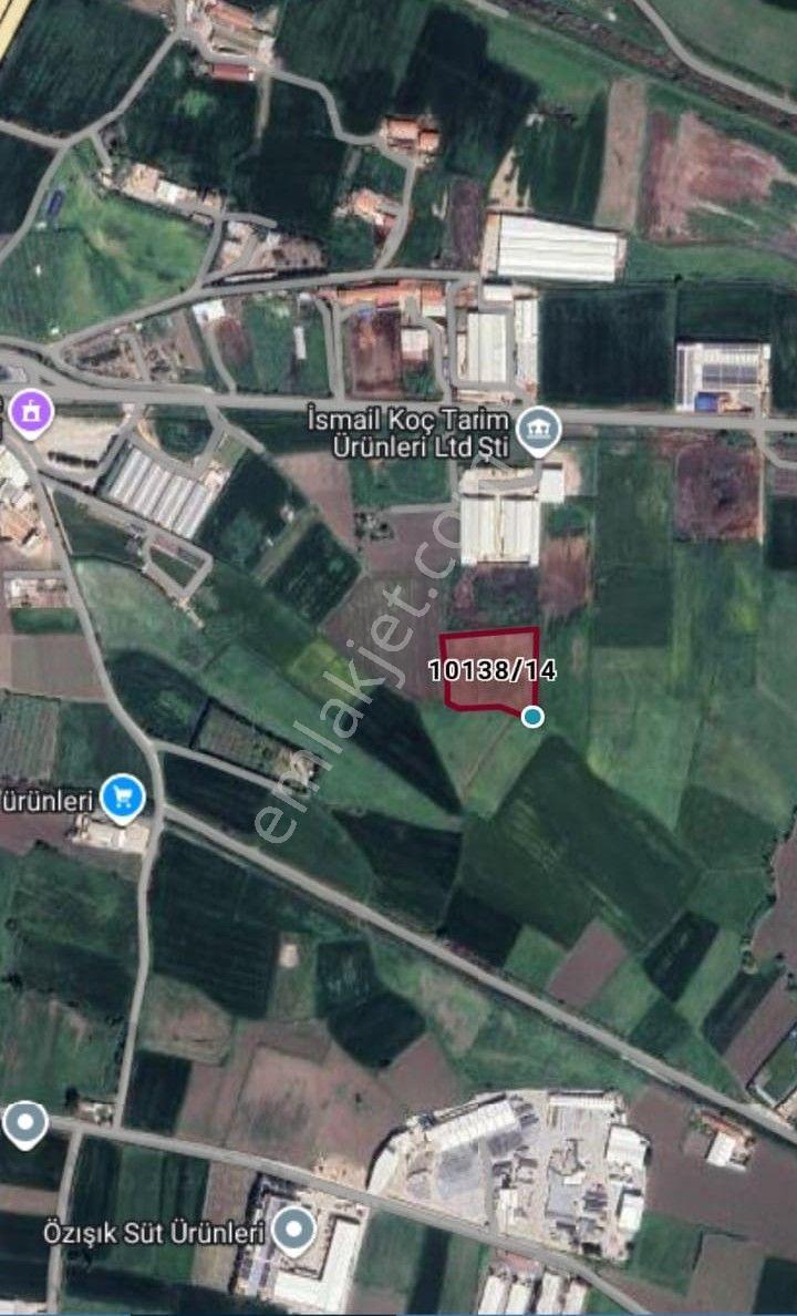 Balıkesir Altıeylül Gümüşçeşme Mahallesi 6428 M2 Satılık Tarla - Görsel 21
