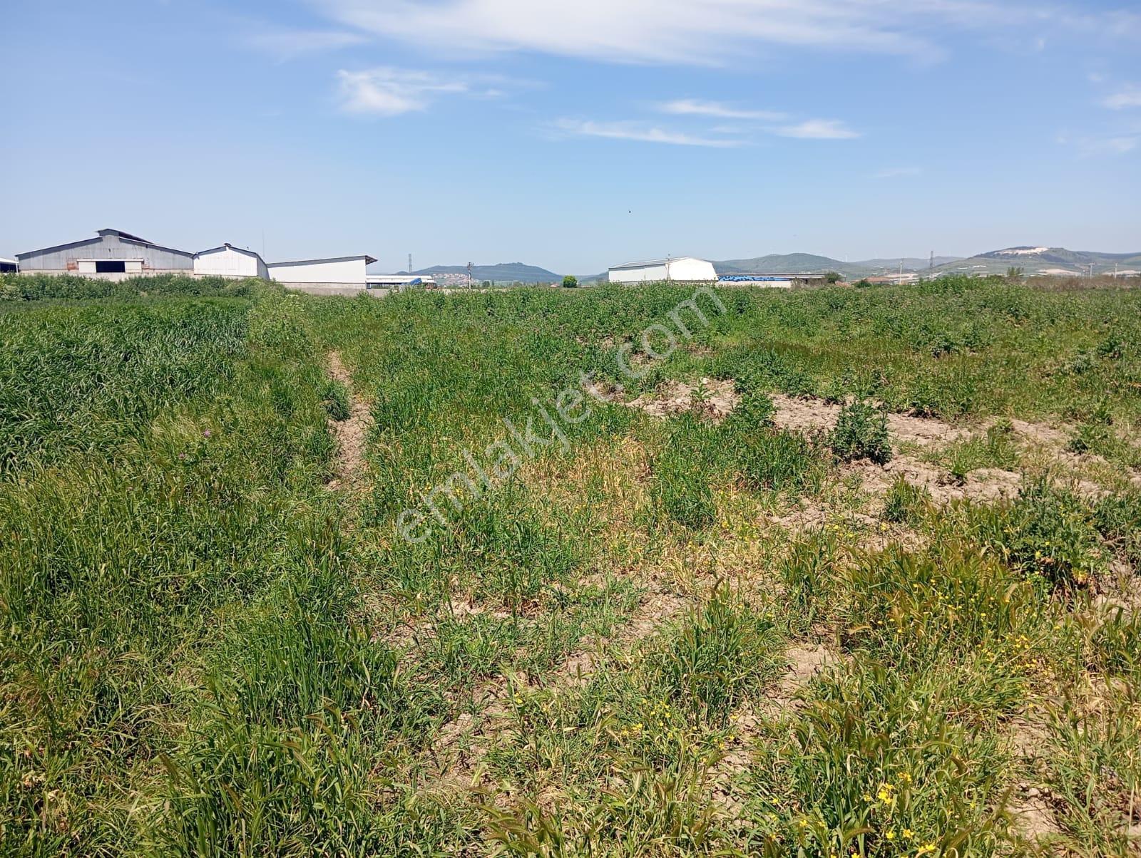 Balıkesir Altıeylül Gümüşçeşme Mahallesi 6428 M2 Satılık Tarla - Görsel 14