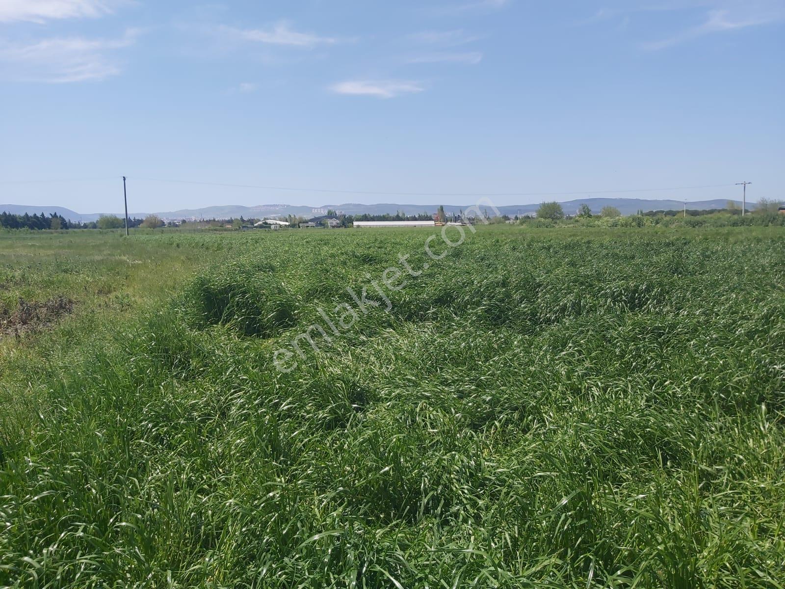 Balıkesir Altıeylül Gümüşçeşme Mahallesi 6428 M2 Satılık Tarla - Görsel 22