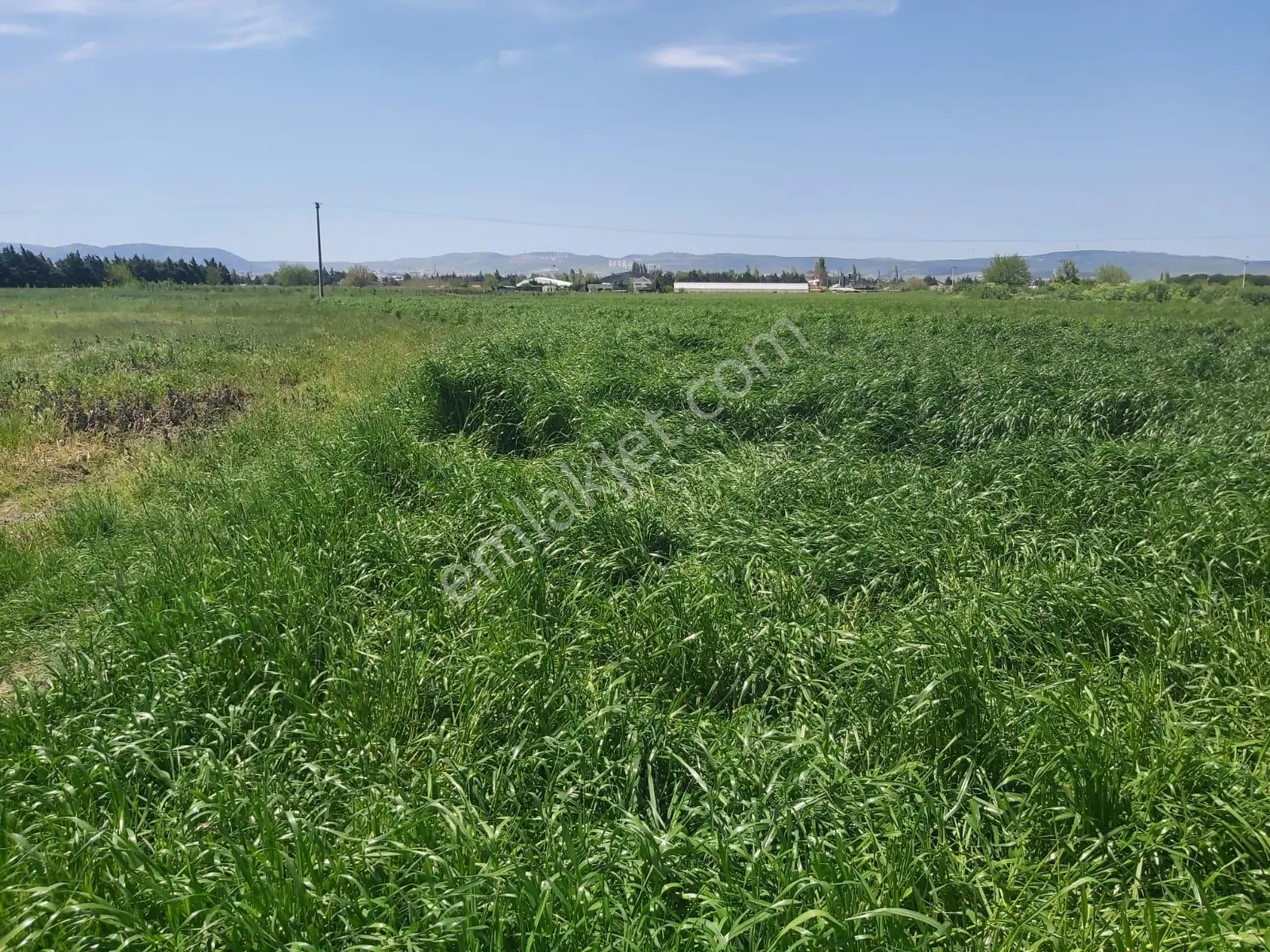 Balıkesir Altıeylül Gümüşçeşme Mahallesi 6428 M2 Satılık Tarla - Görsel 4