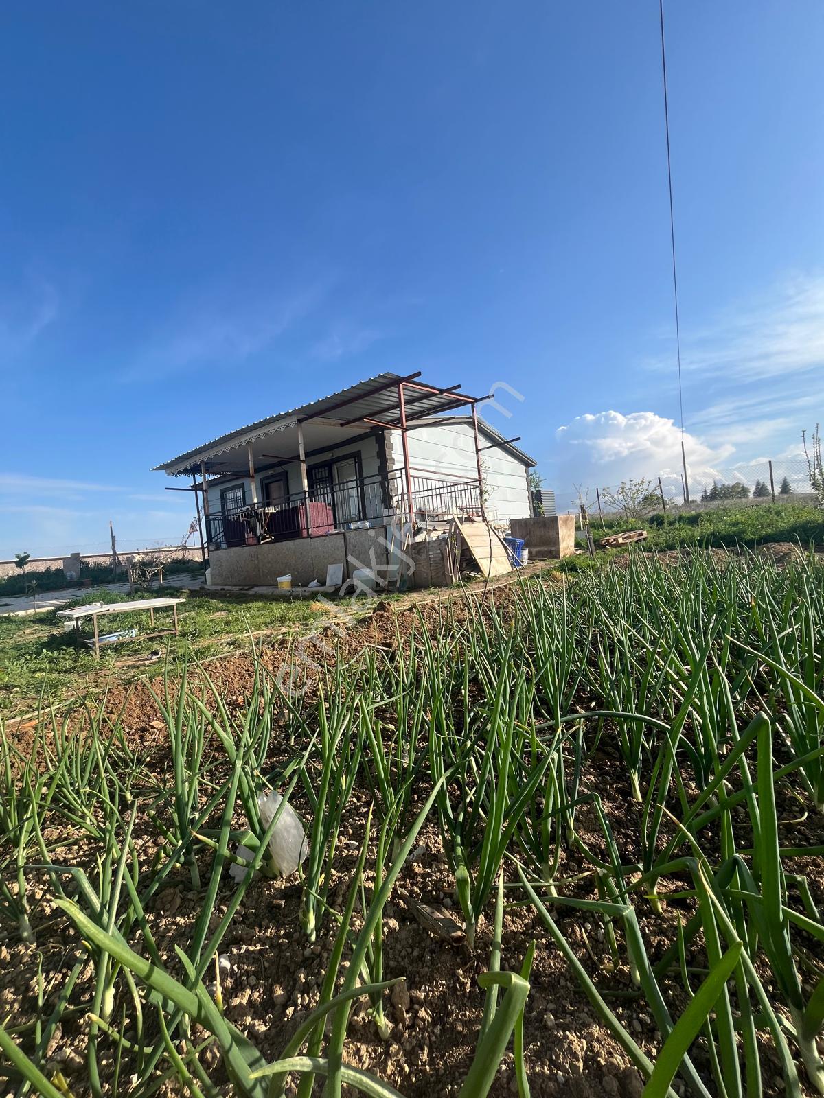 Korkuteli Bozova Yukarı Da İçinde 2+1 Ev Olan 842 M2 Satılık Tarla - Görsel 4