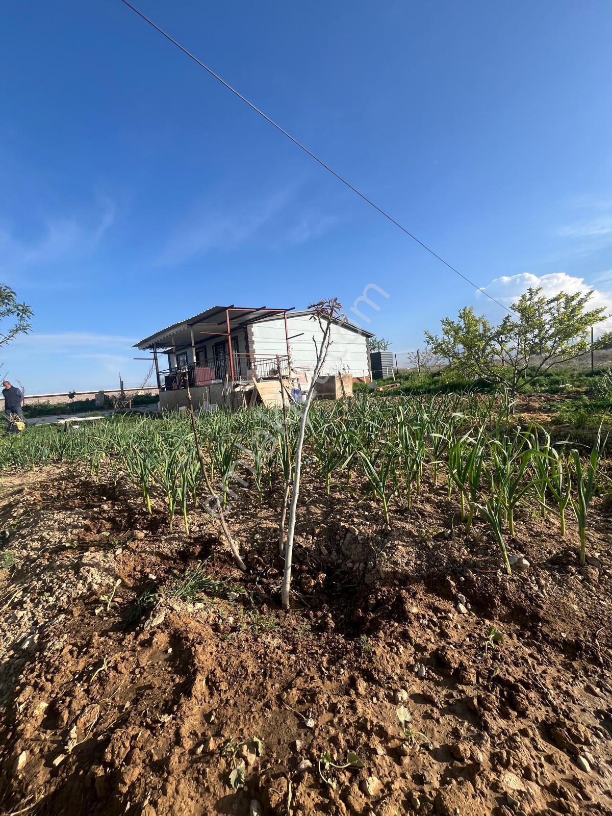 Korkuteli Bozova Yukarı Da İçinde 2+1 Ev Olan 842 M2 Satılık Tarla - Görsel 14