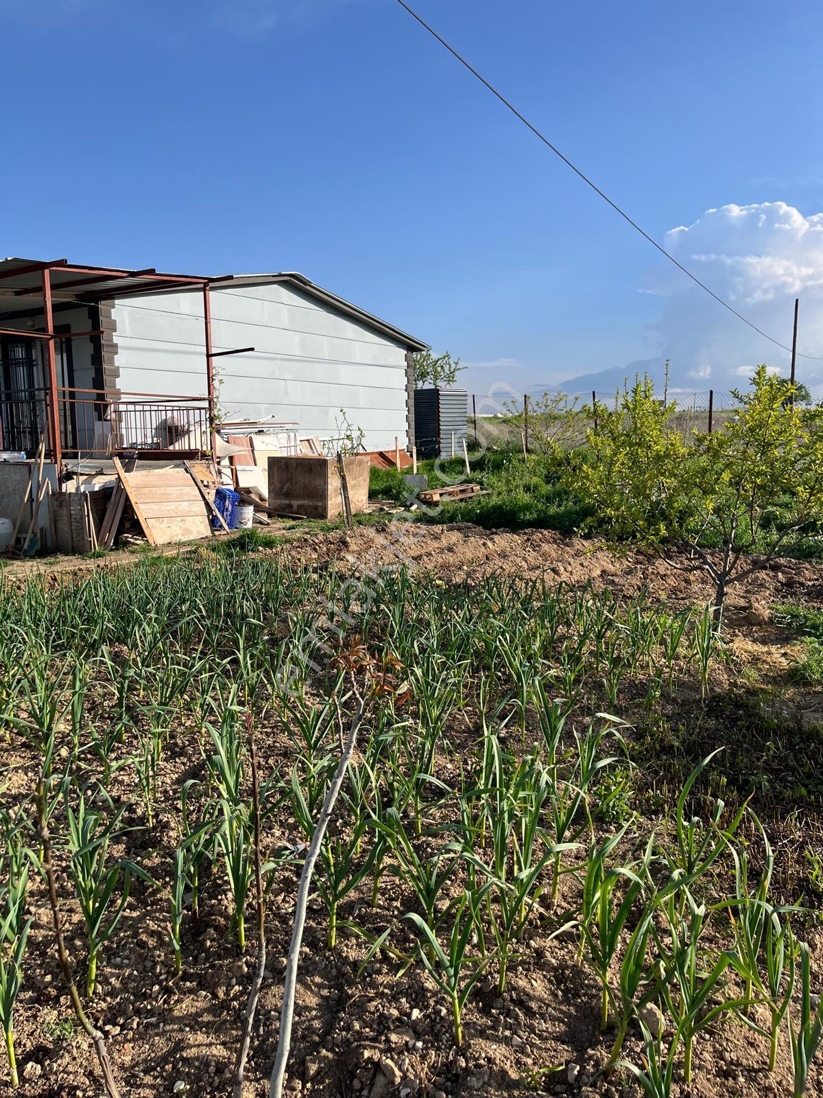 Korkuteli Bozova Yukarı Da İçinde 2+1 Ev Olan 842 M2 Satılık Tarla - Görsel 6