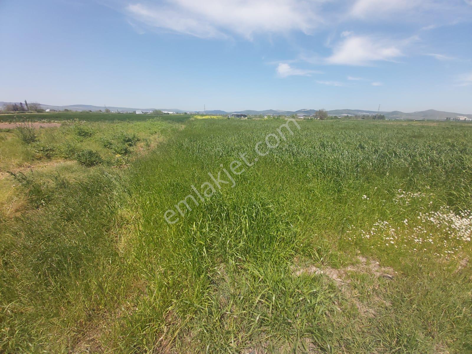 Balıkesir Altıeylül Yakupköy Mahallesi 2117m2 Satılık Tarla - Görsel 6