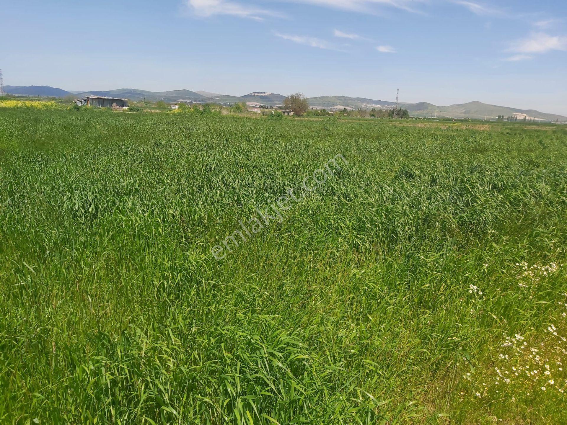 Balıkesir Altıeylül Yakupköy Mahallesi 2117m2 Satılık Tarla - Görsel 8