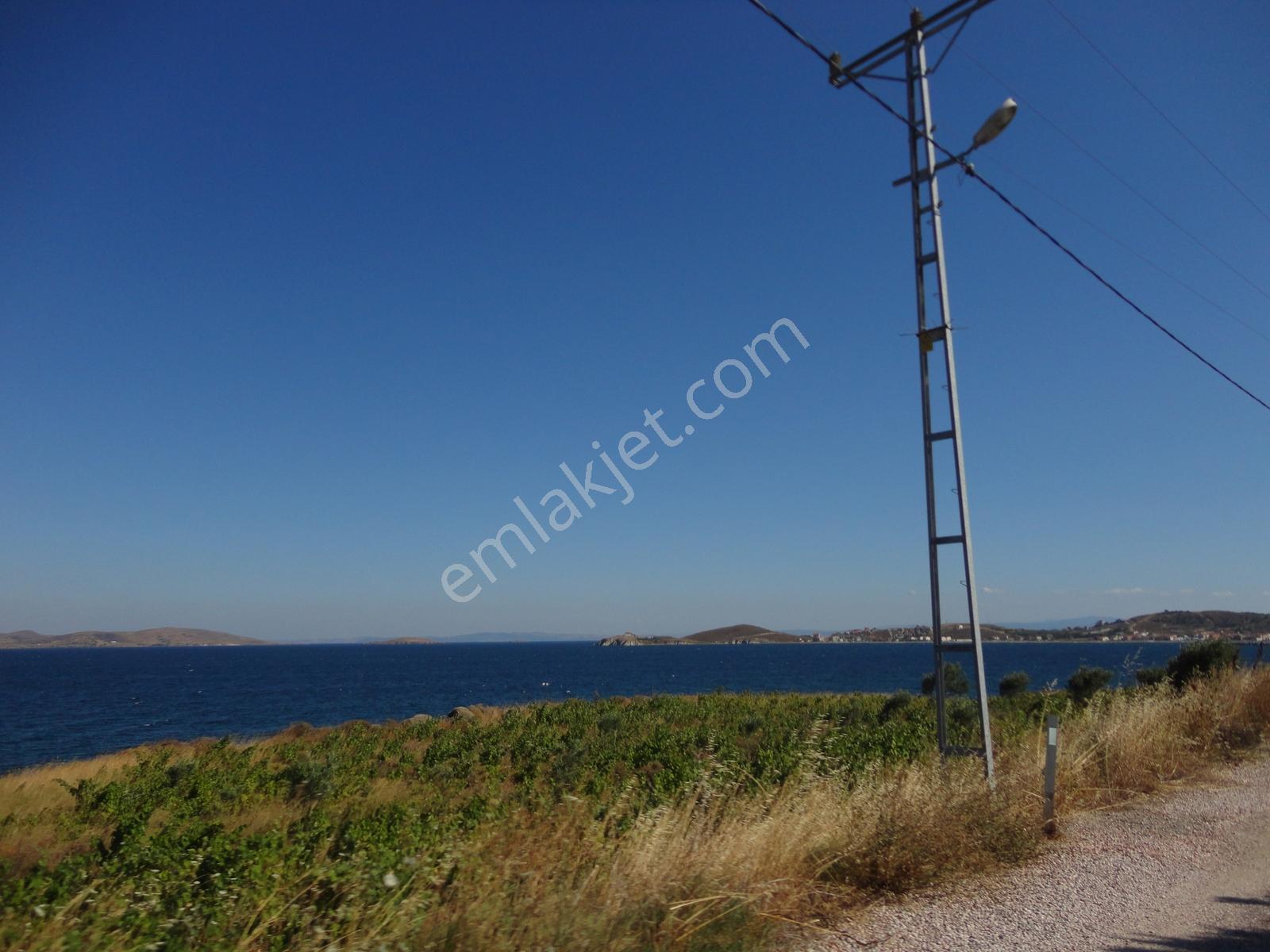 Balıkesir Avşada Denize Yakın Yola Cepheli 200m2 Arazi - Görsel 7